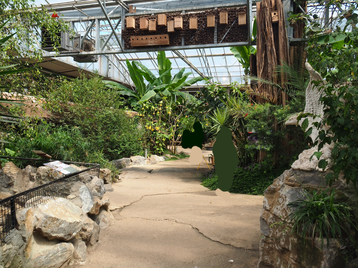 View of pathway in tropical house, 2019-08-04