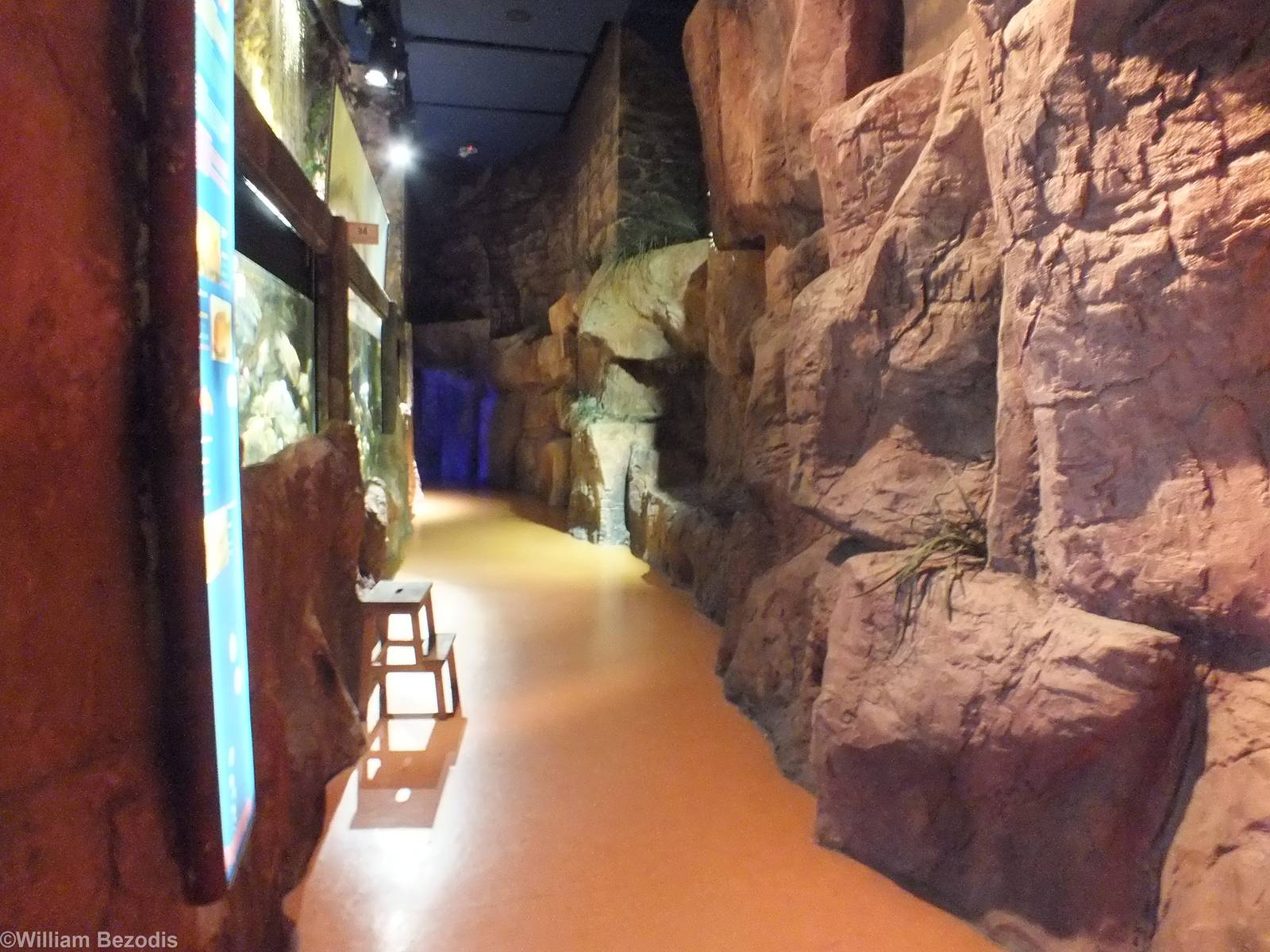 View of Pathway - 'Lake Managua'