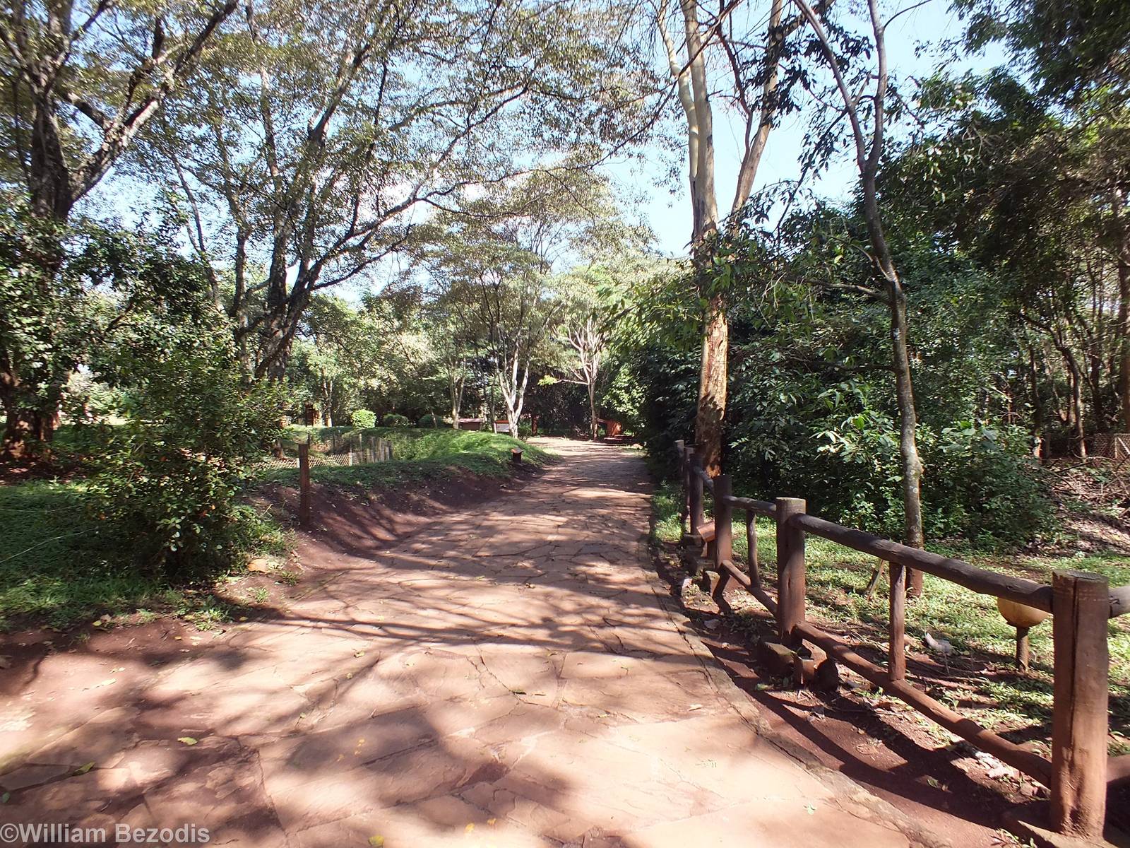 View of Pathway - Nairobi Safari Walk