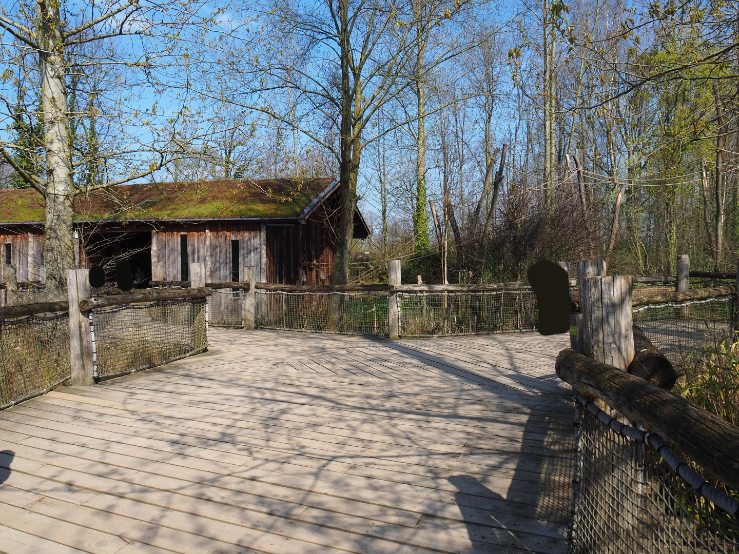 View of pathway near monkey islands and spider monkey - capuchin house, 2019-03-30