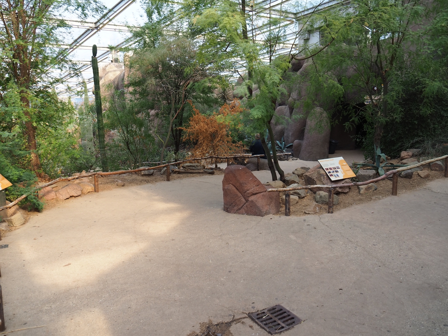 View of pathways in Desert (Sep 16th, 2018)