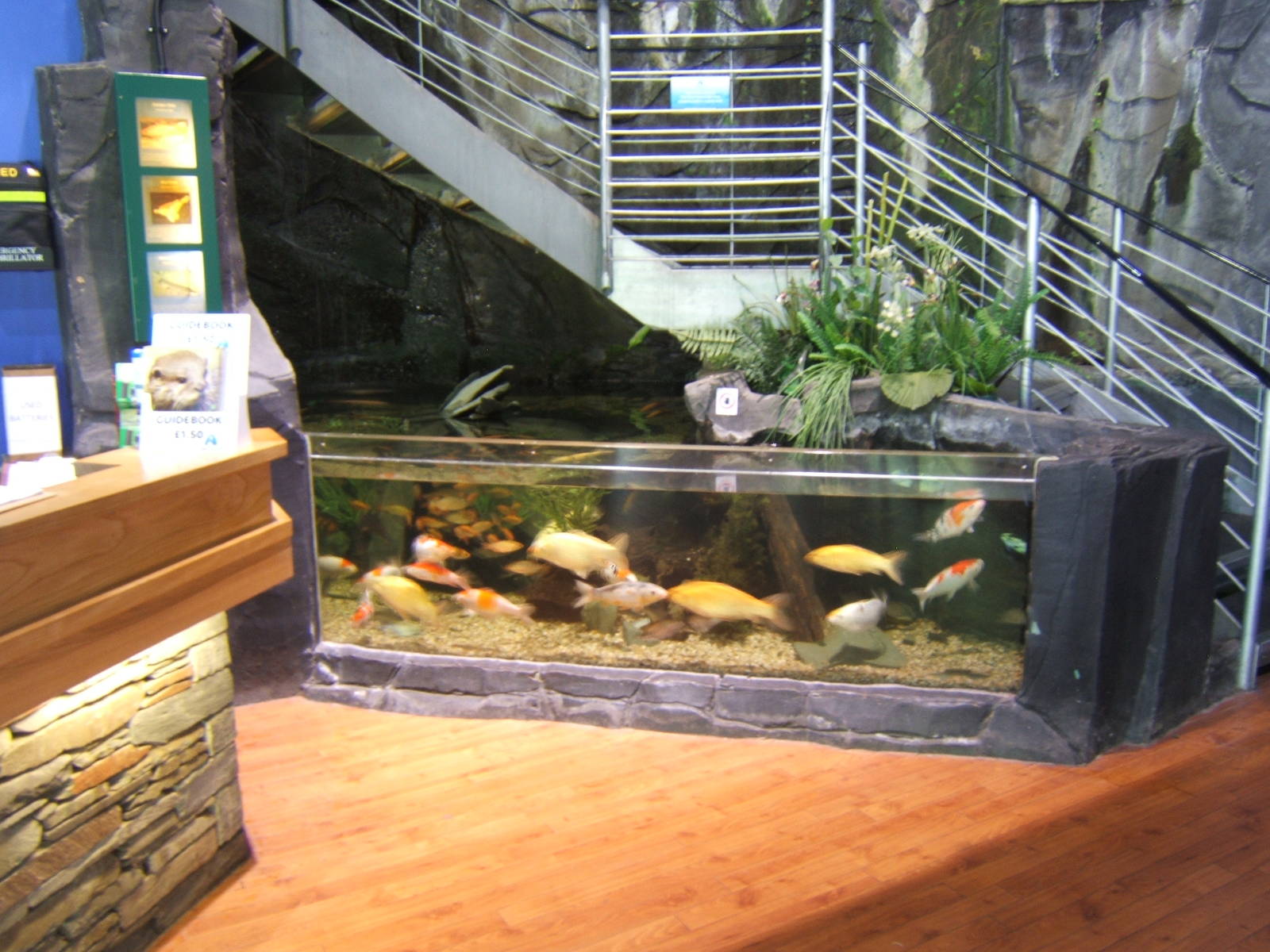 View of pay desk and first exhibit and stairs up to aquarium