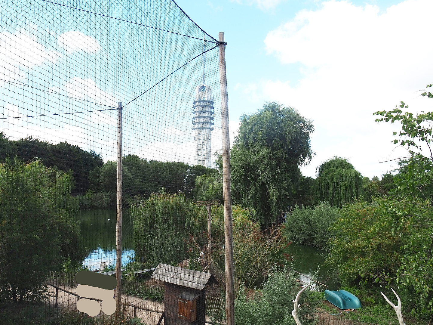 View of pelican lake from entrance to hunting cabin-themed viewing area, 2022-08-28