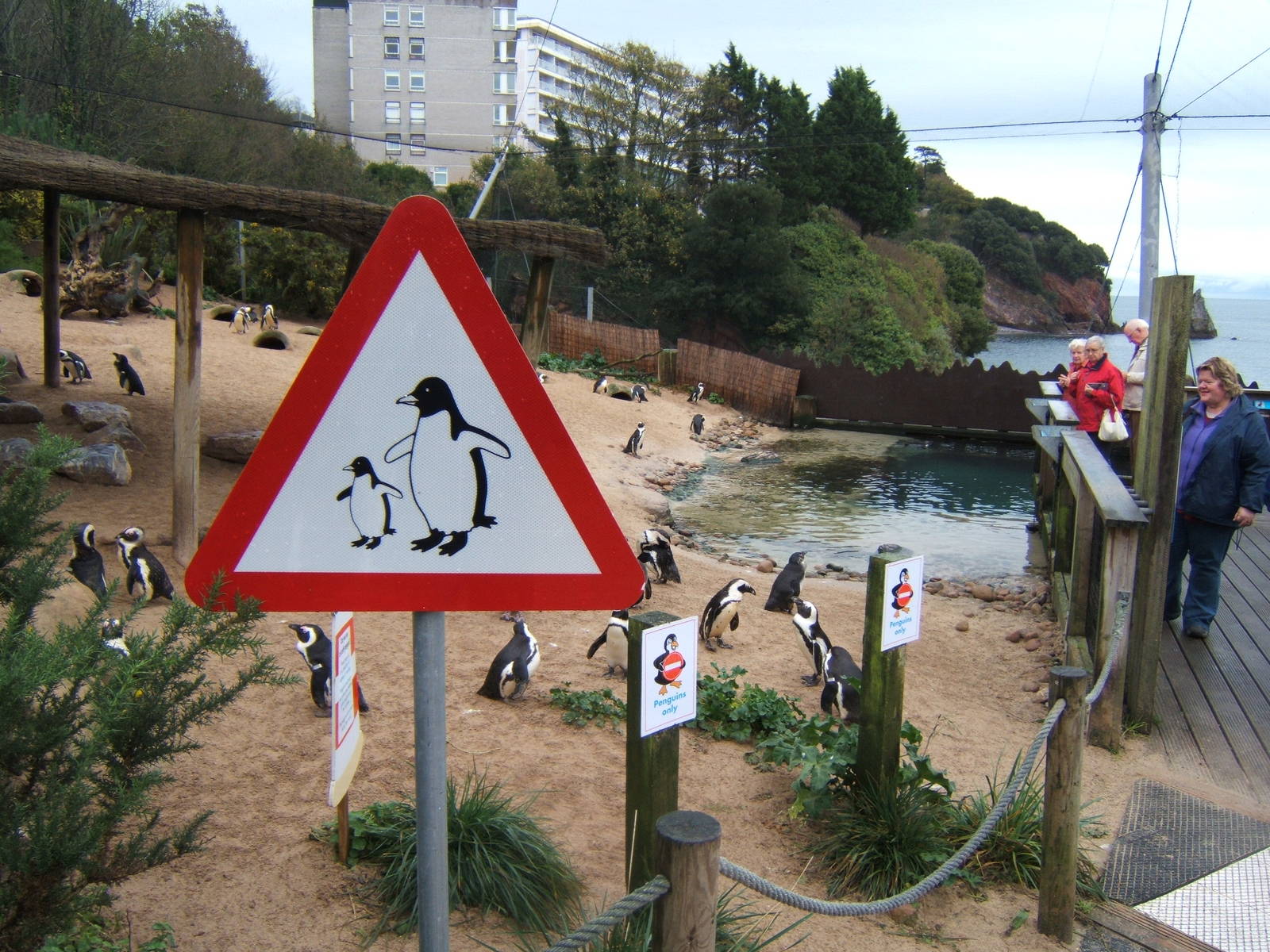 View of Pengiun Crossing sign
