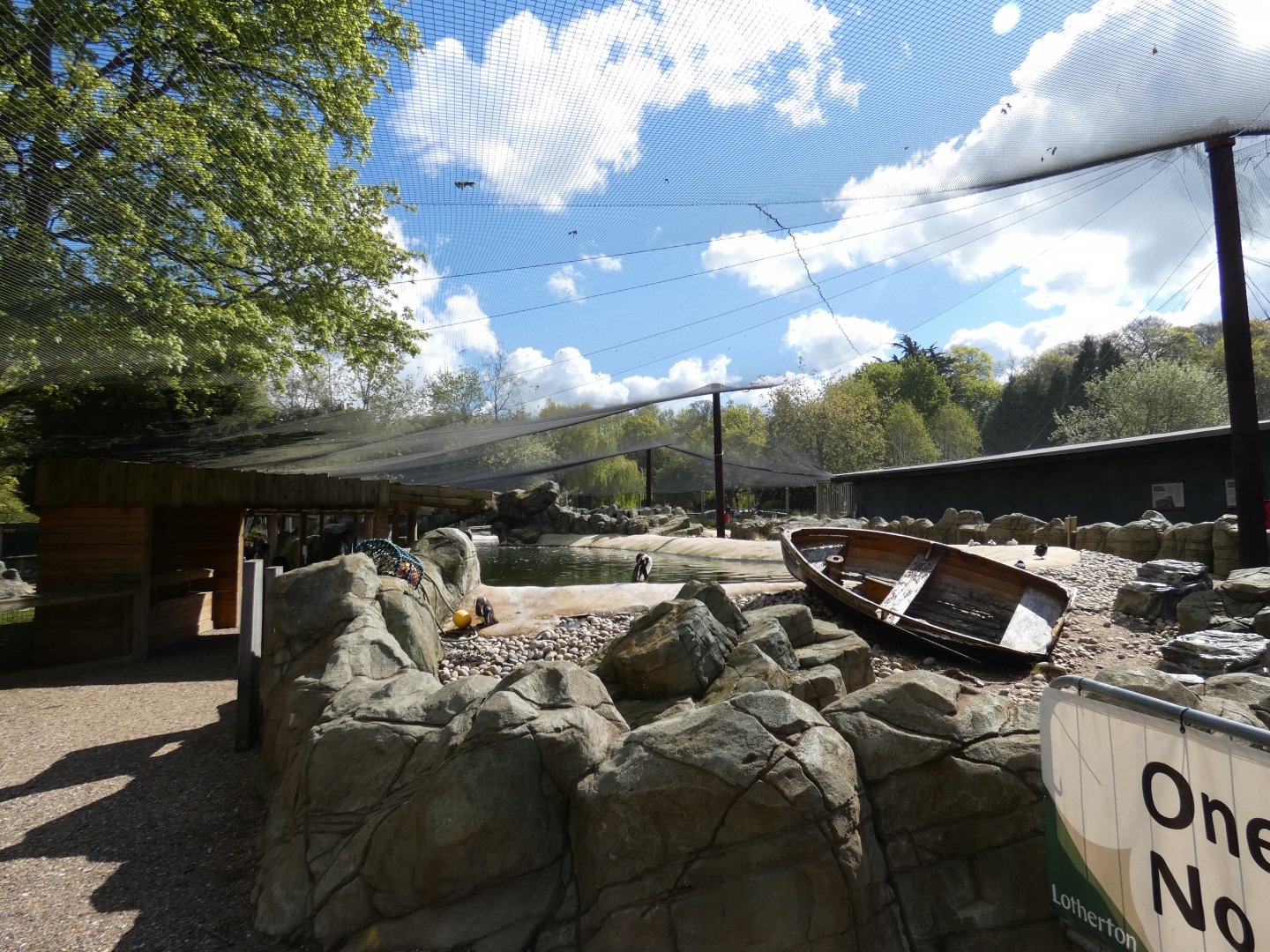 View of penguin aviary