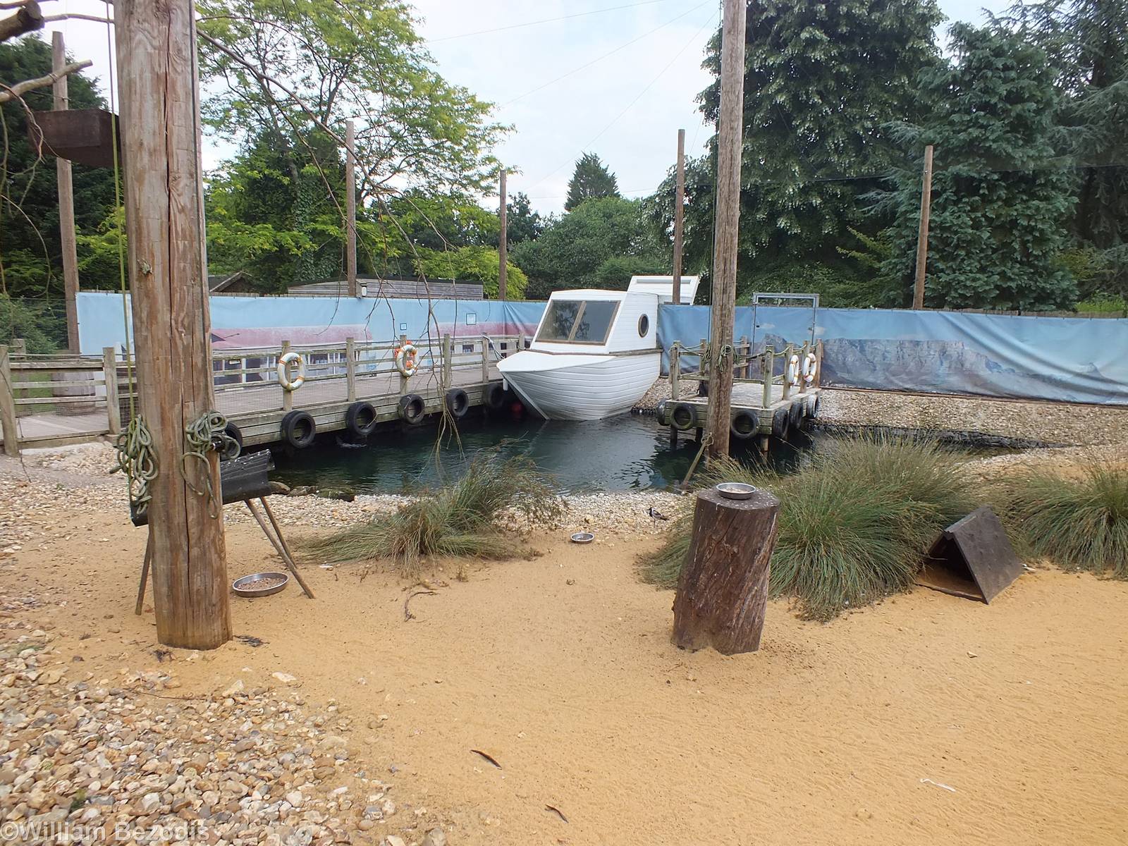 View of 'Penguin Beach'