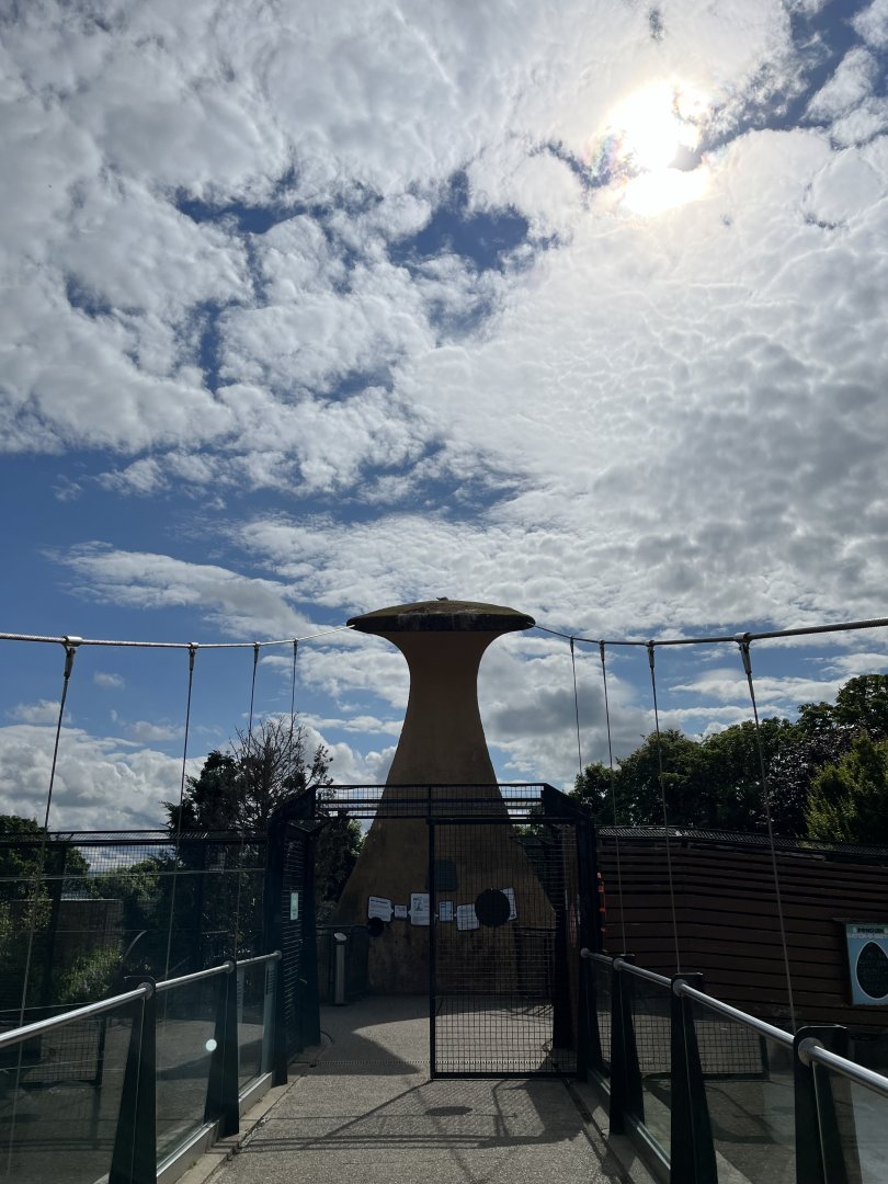 View of penguin bridge and the view 22.7.24