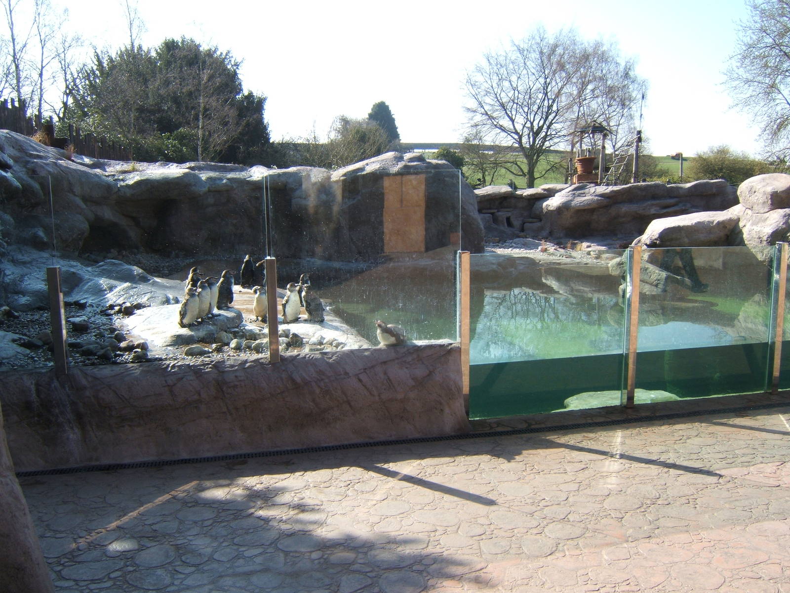 View of Penguin Cove