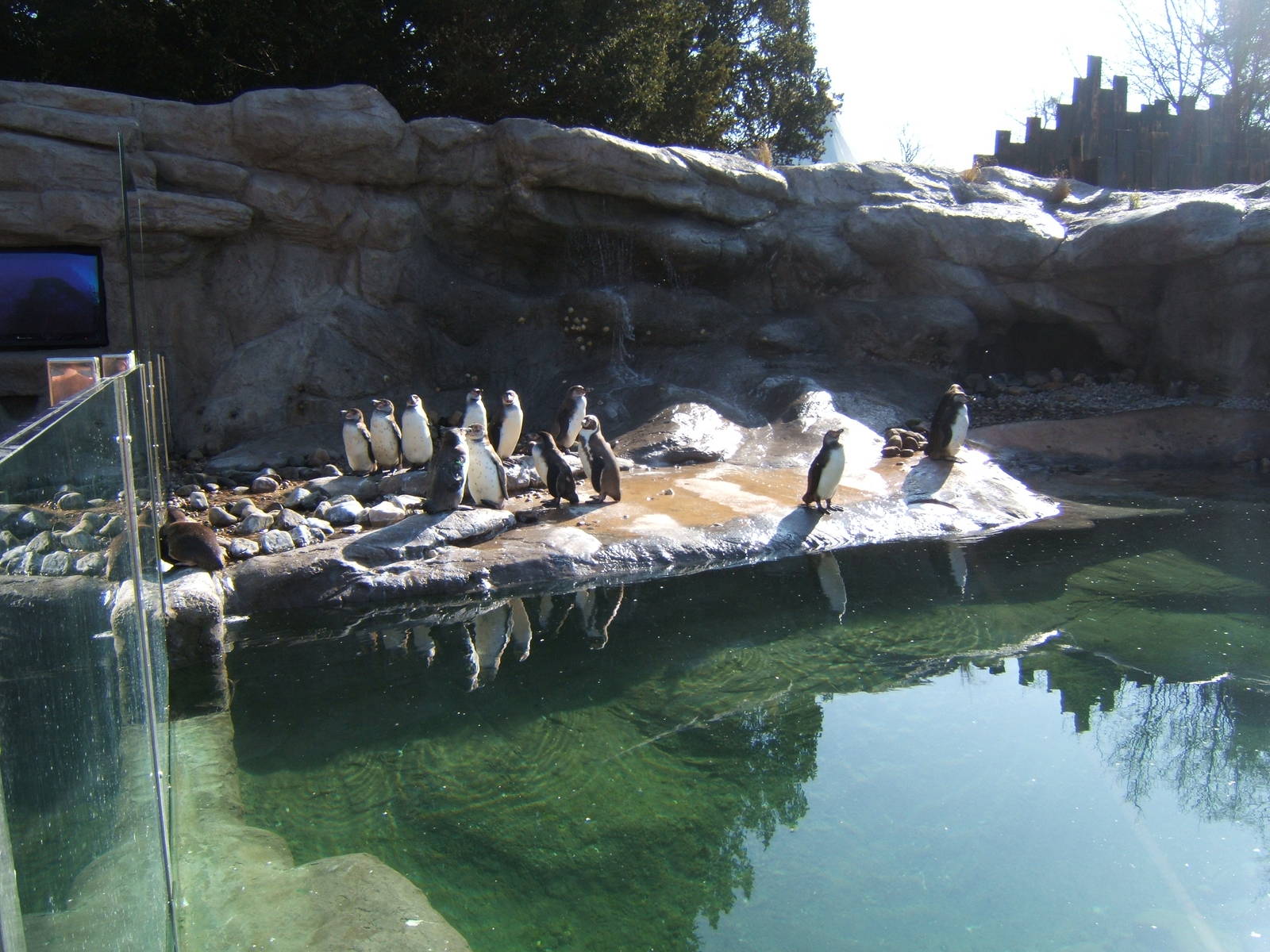 View of Penguin Cove