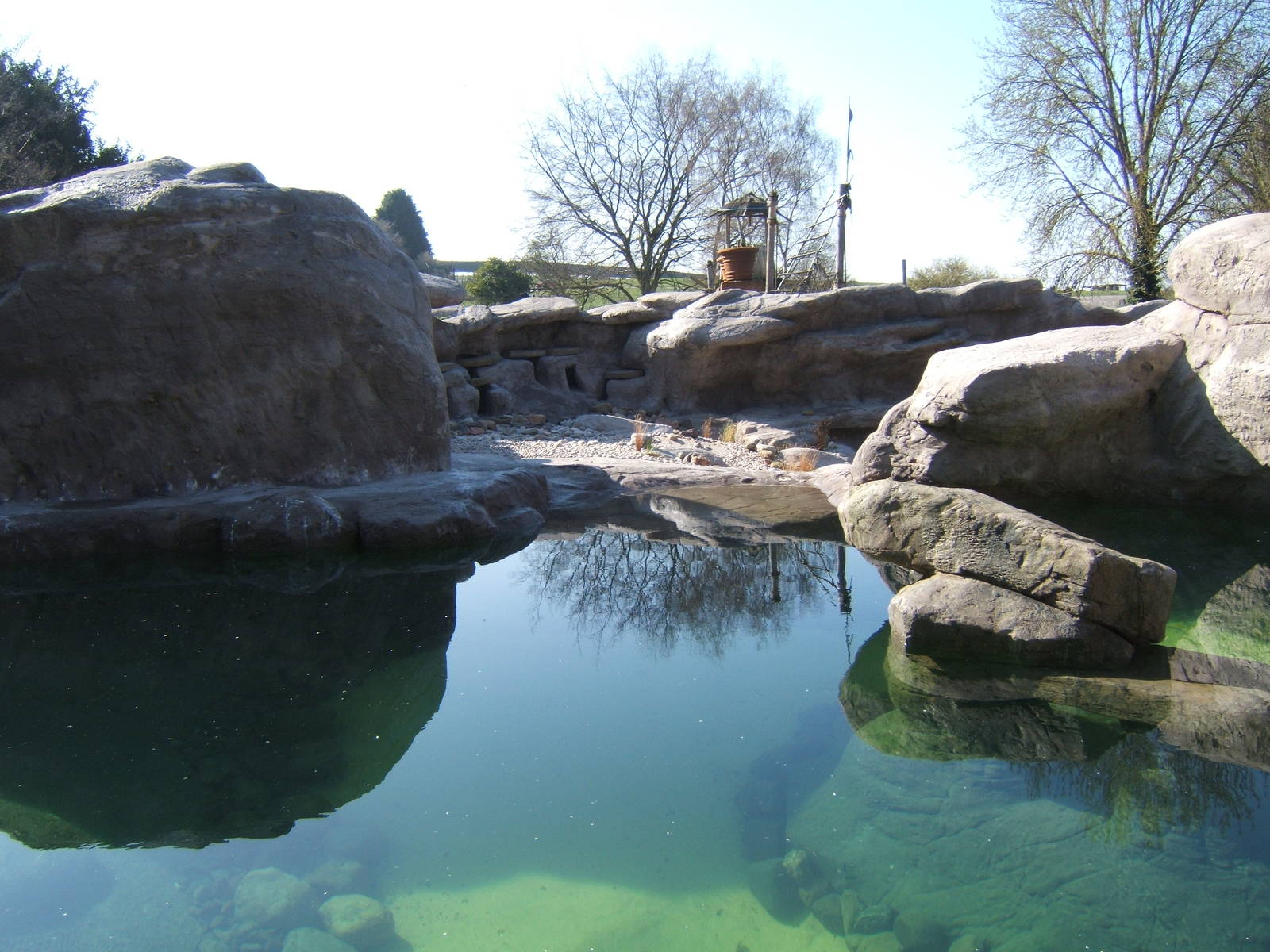 View of Penguin Cove