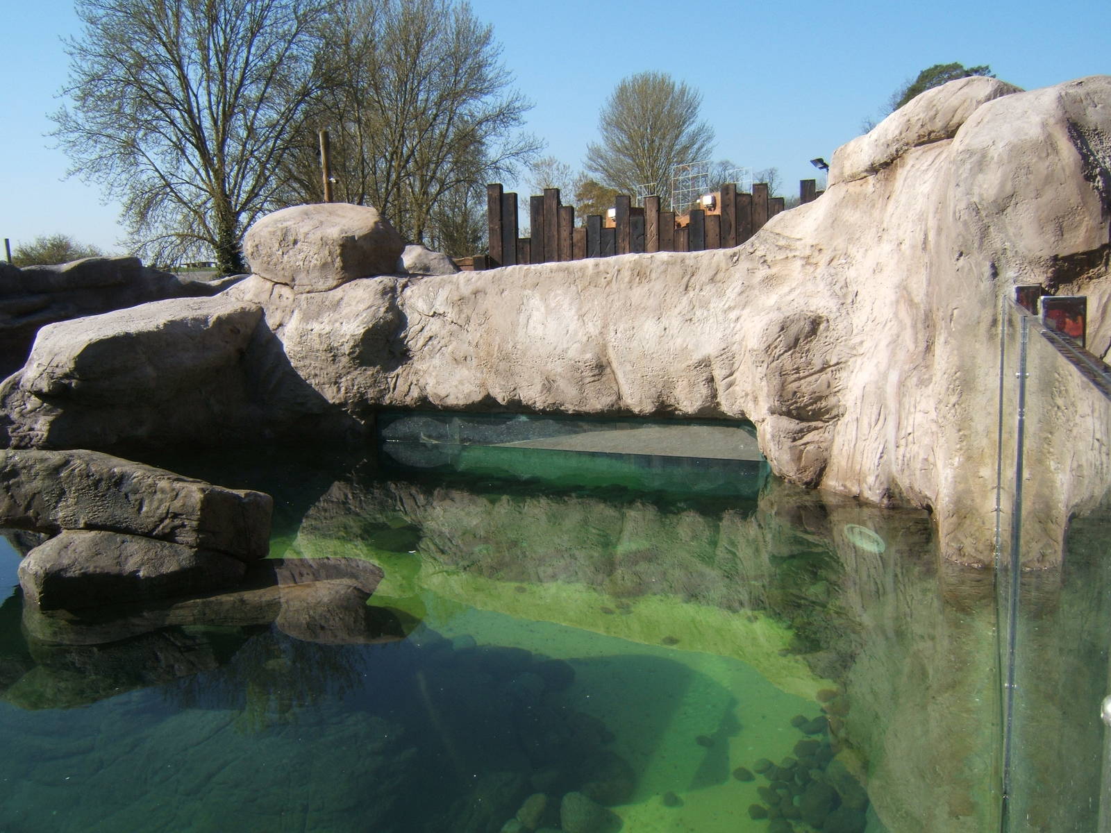 View of Penguin Cove