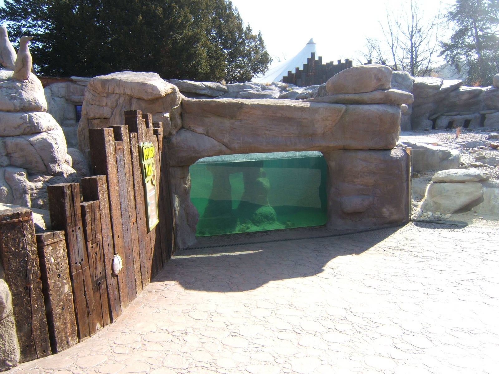 View of Penguin Cove