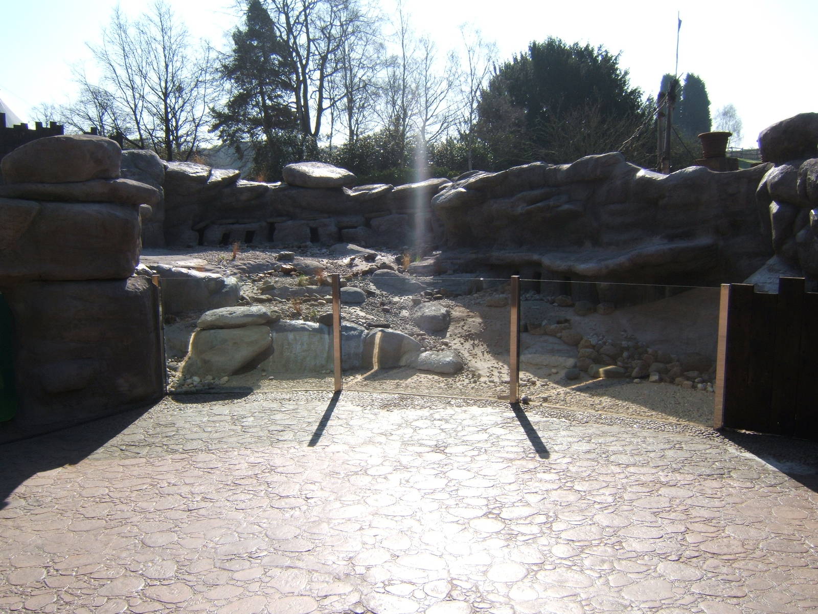 View of Penguin Cove
