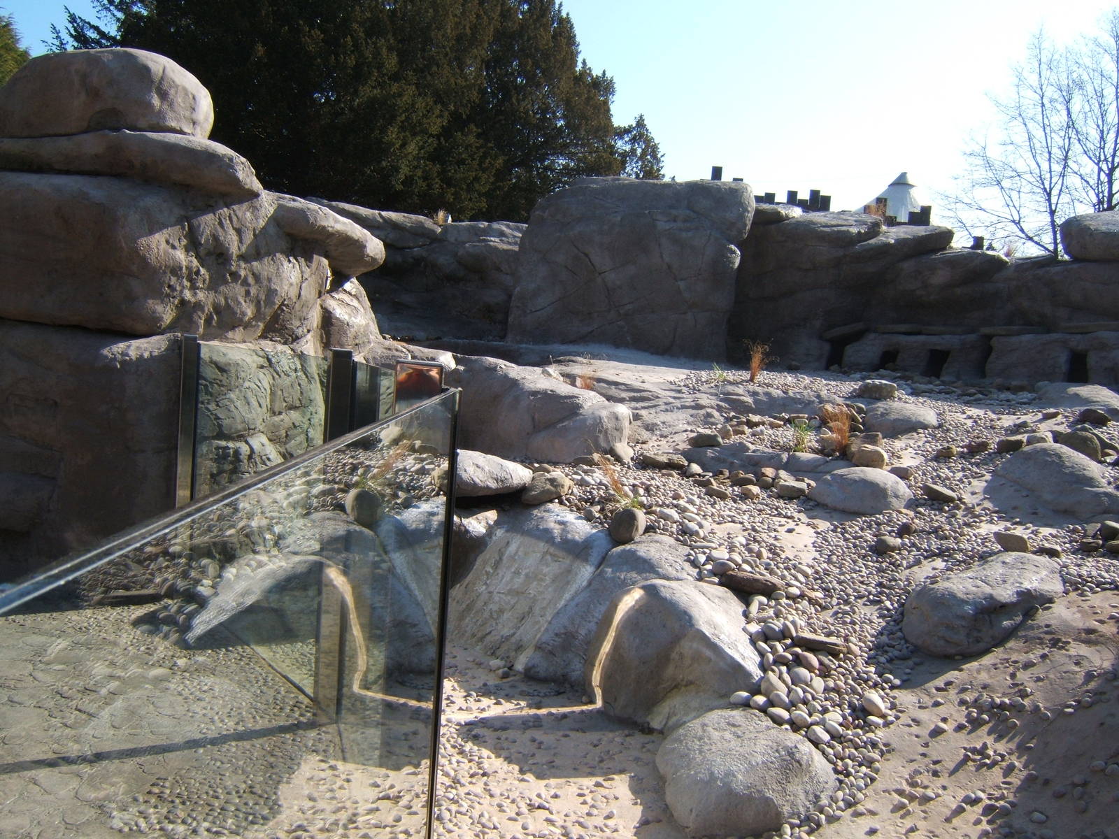 View of Penguin Cove