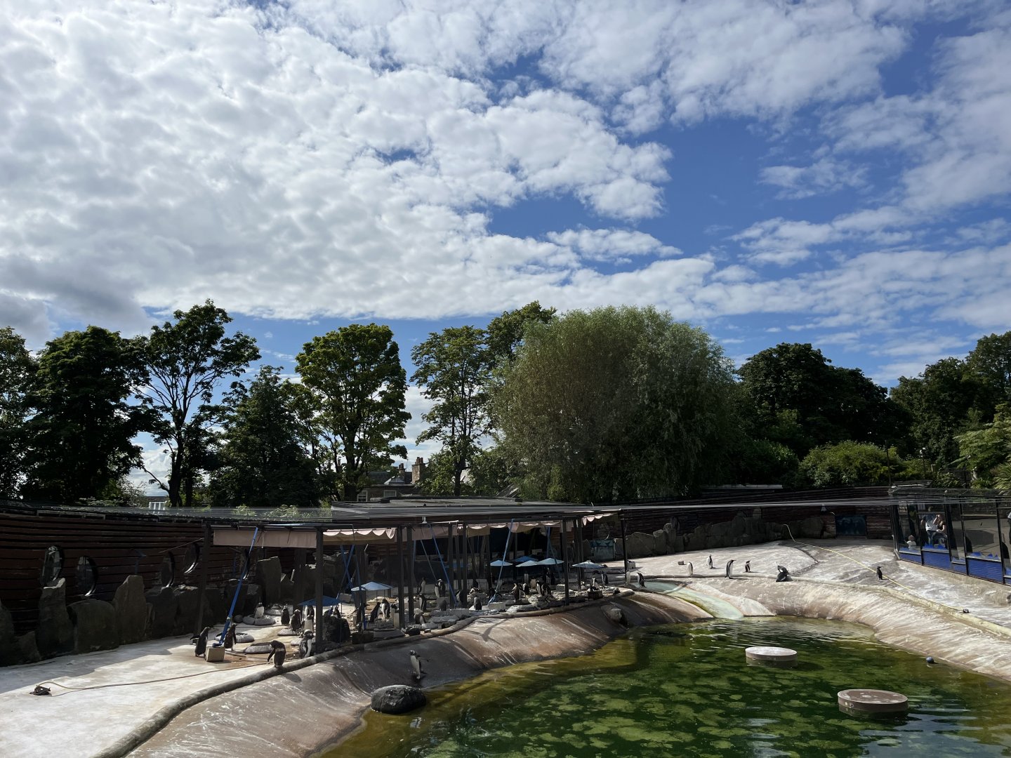 View of penguin enclosure and the sky 22.7.24