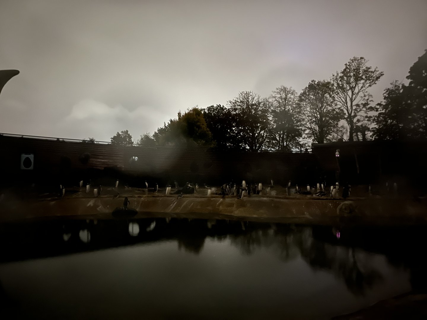 View of penguin enclosure at night 29.10.23