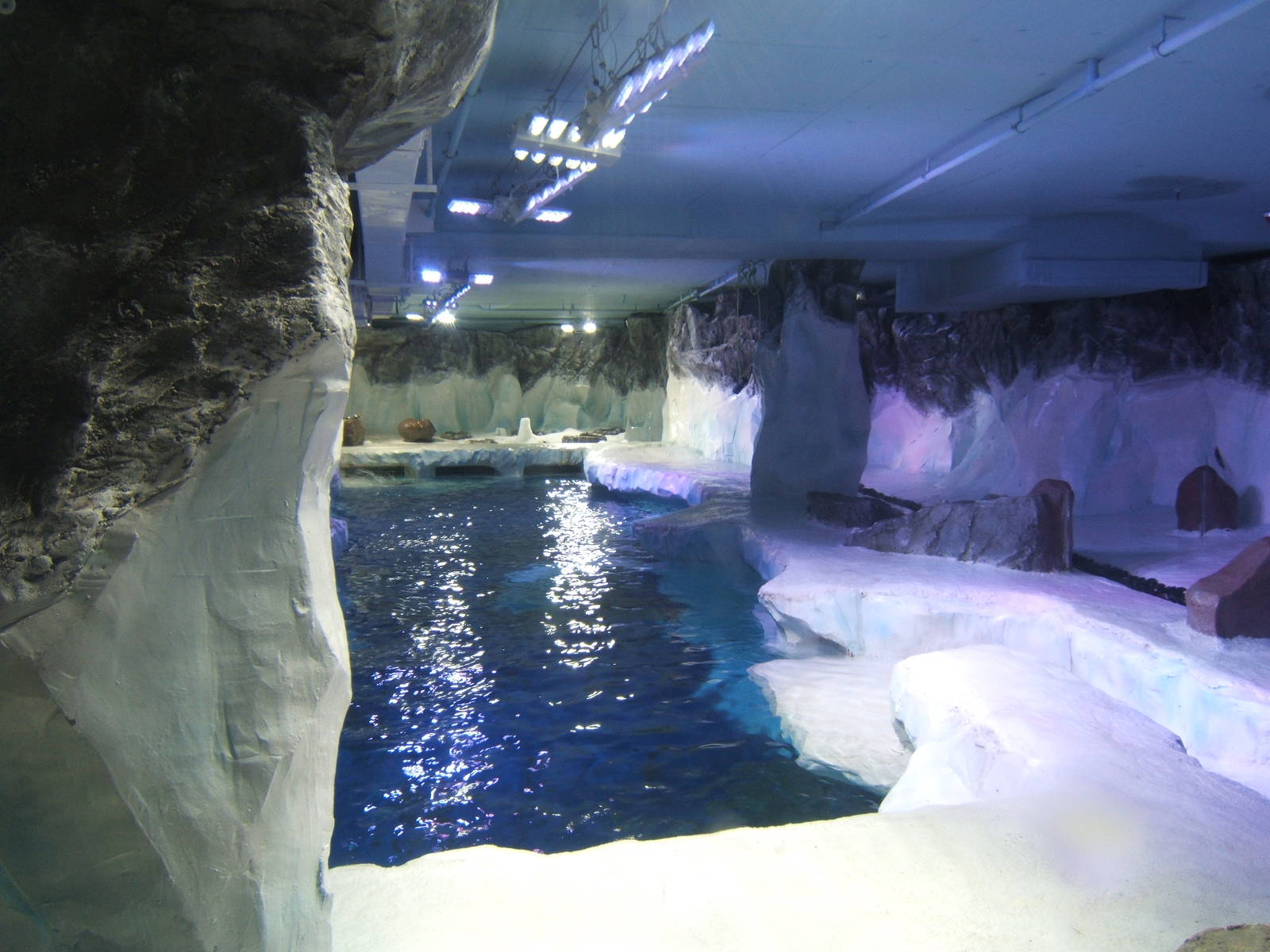 View of Penguin enclosure