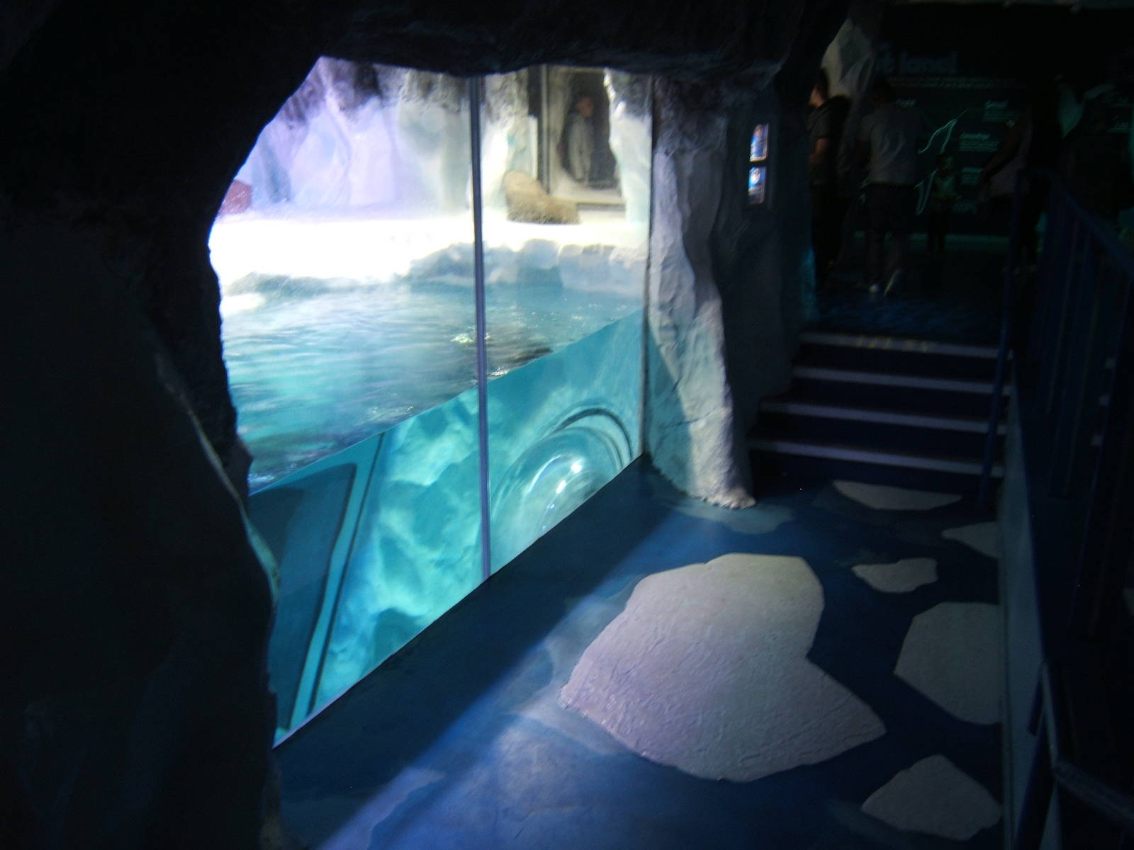 View of Penguin enclosure