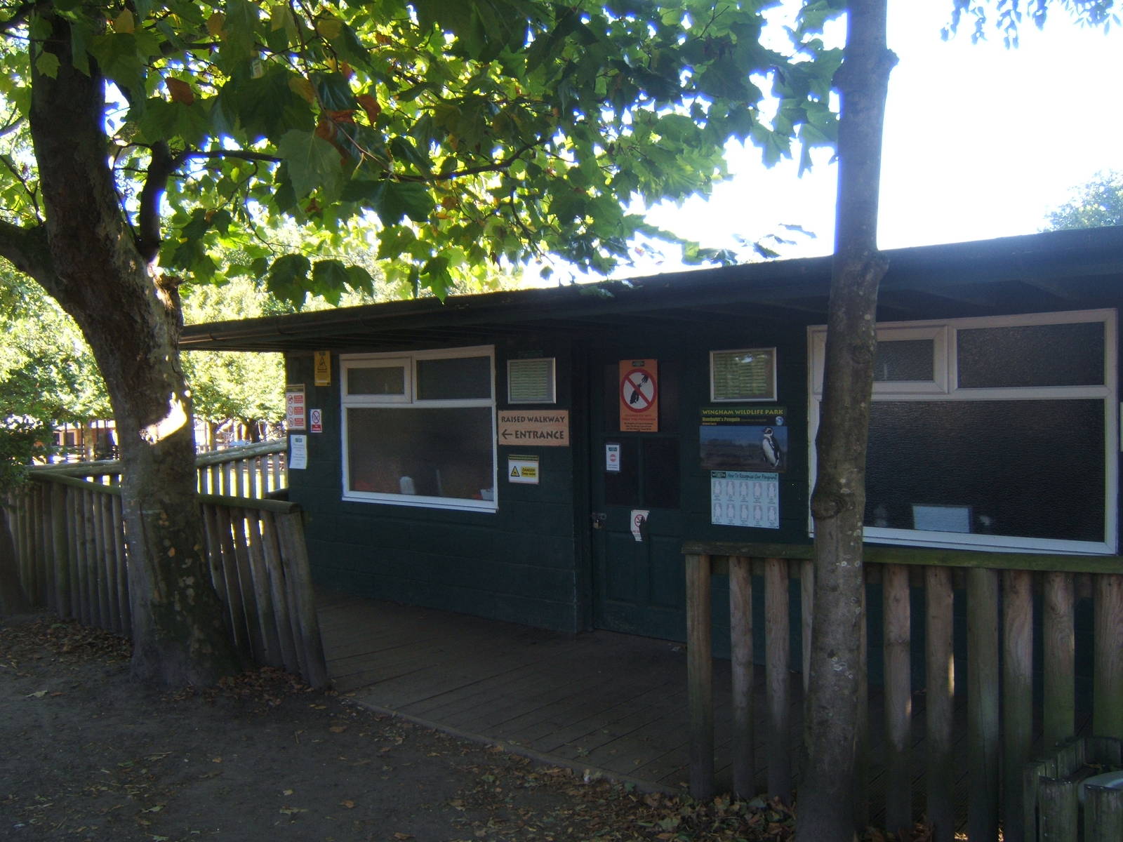 View of Penguin enclosure
