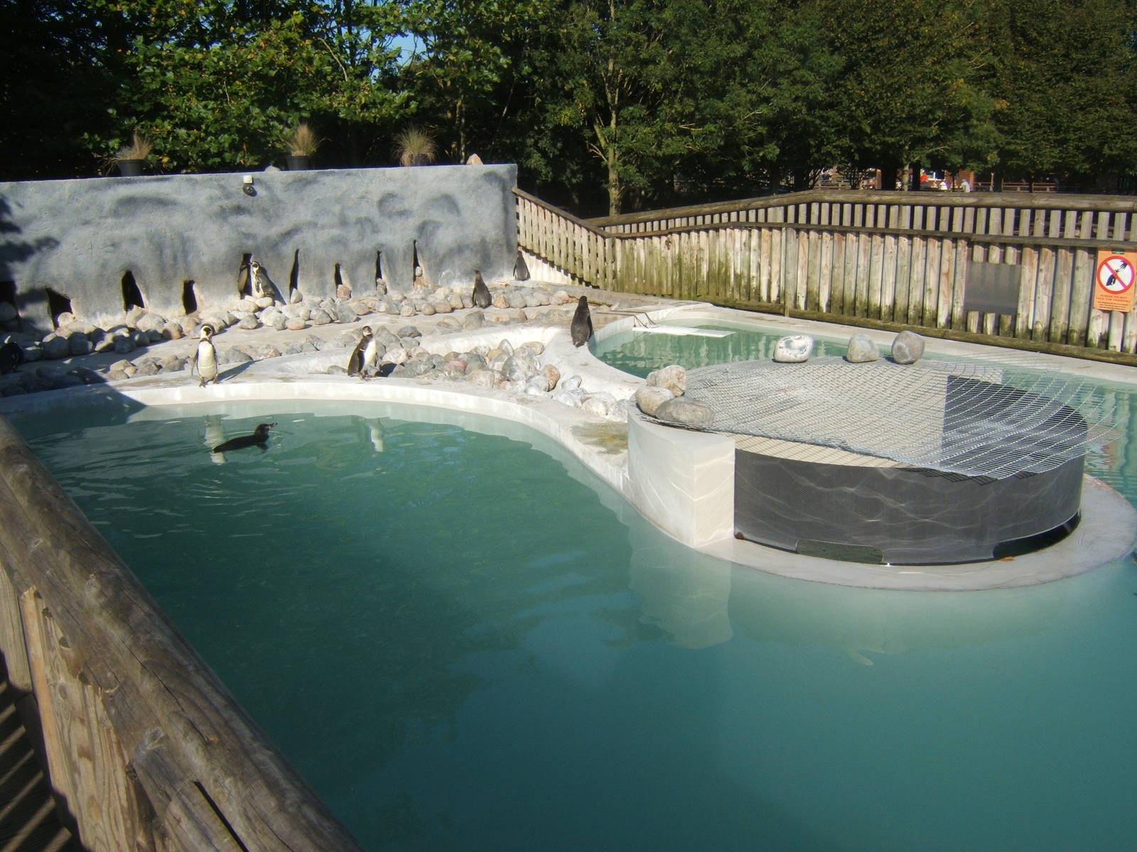 View of Penguin enclosure