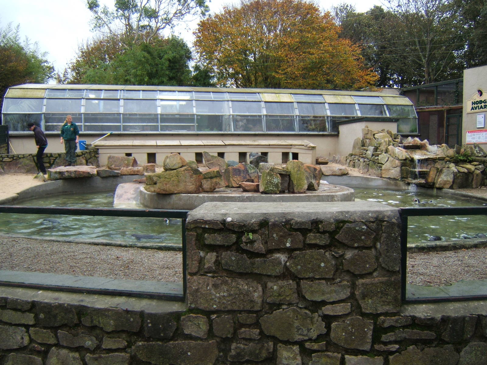 View of Penguin enclosure