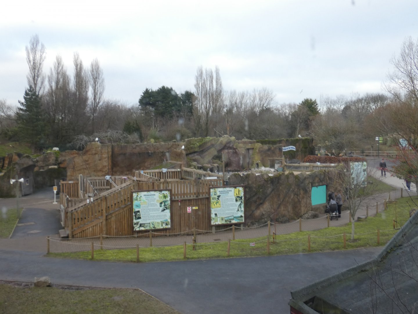 View of Penguin enclosure