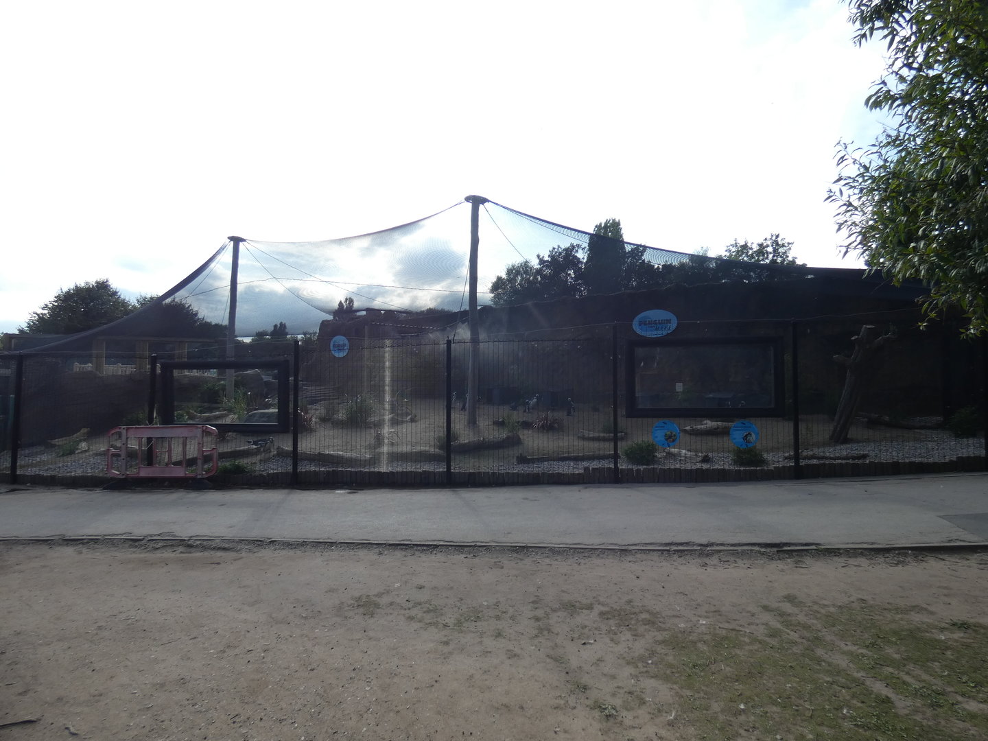 View of penguin enclosure