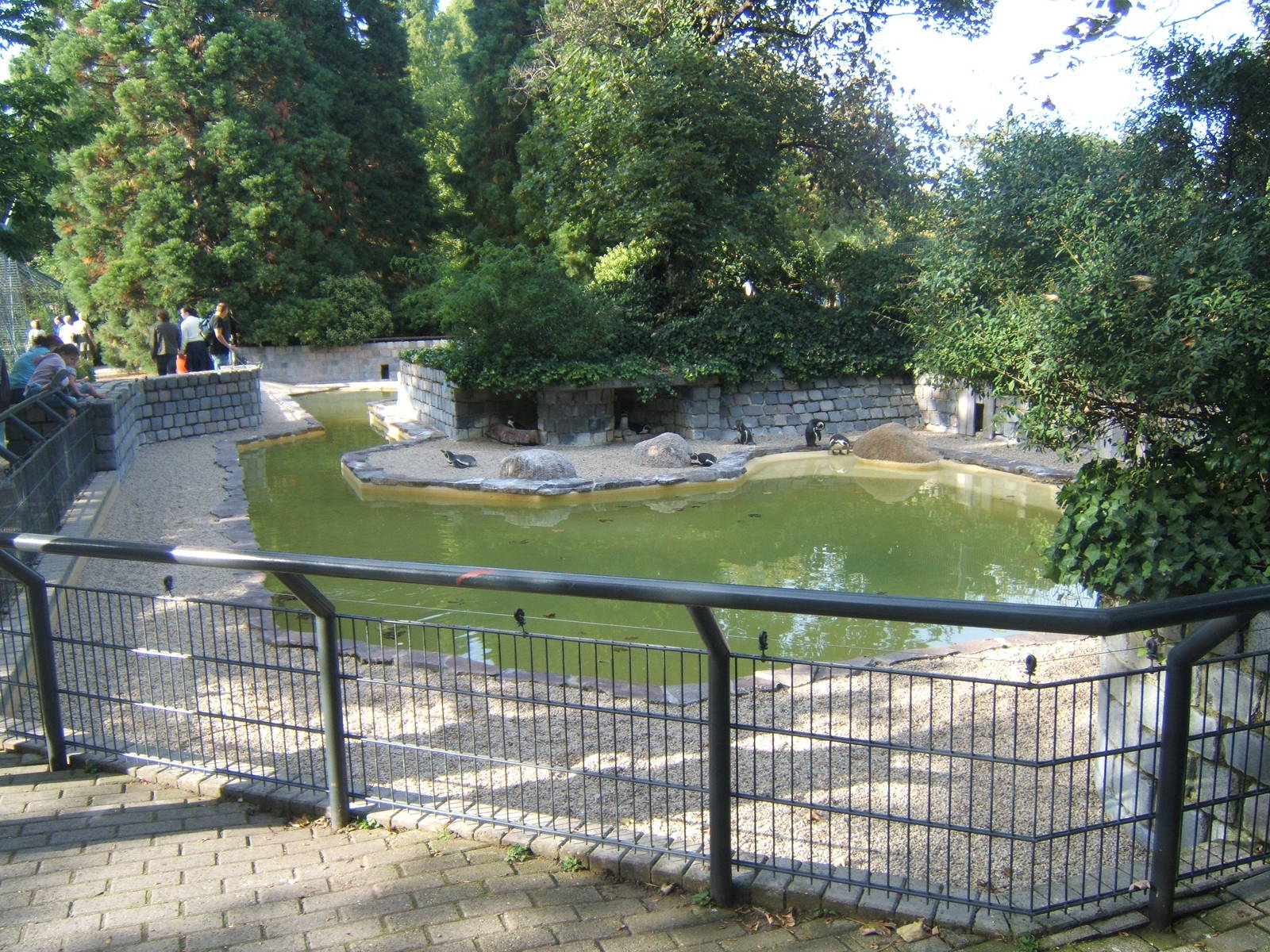 View of Penguin exhibit