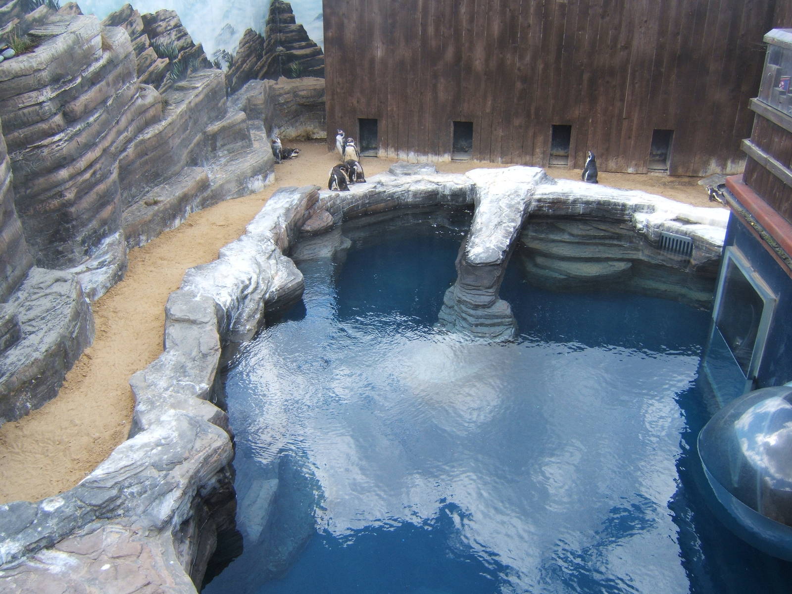 View of penguin exhibit