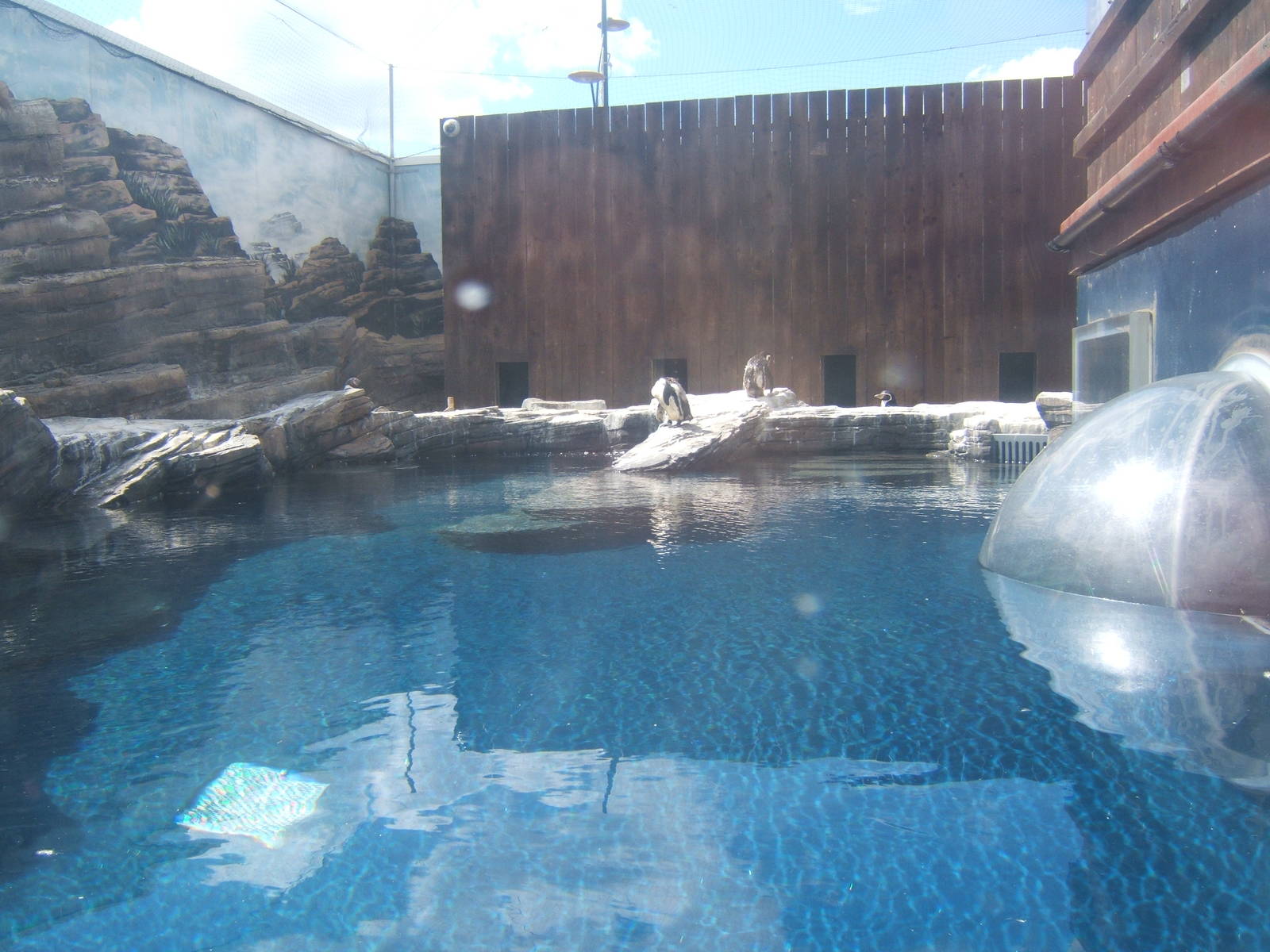 View of penguin exhibit