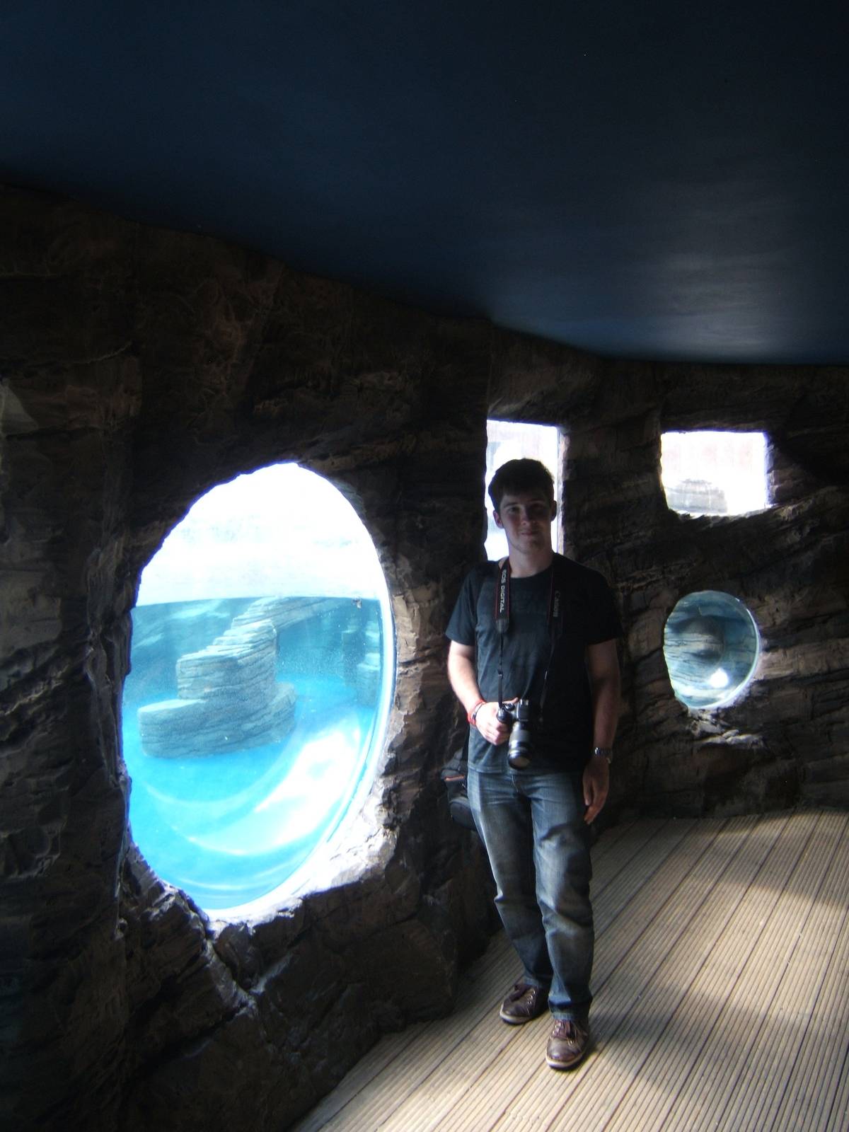 View of penguin exhibit