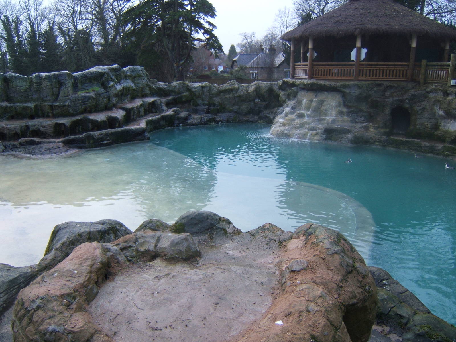 View of Penguin exhibit