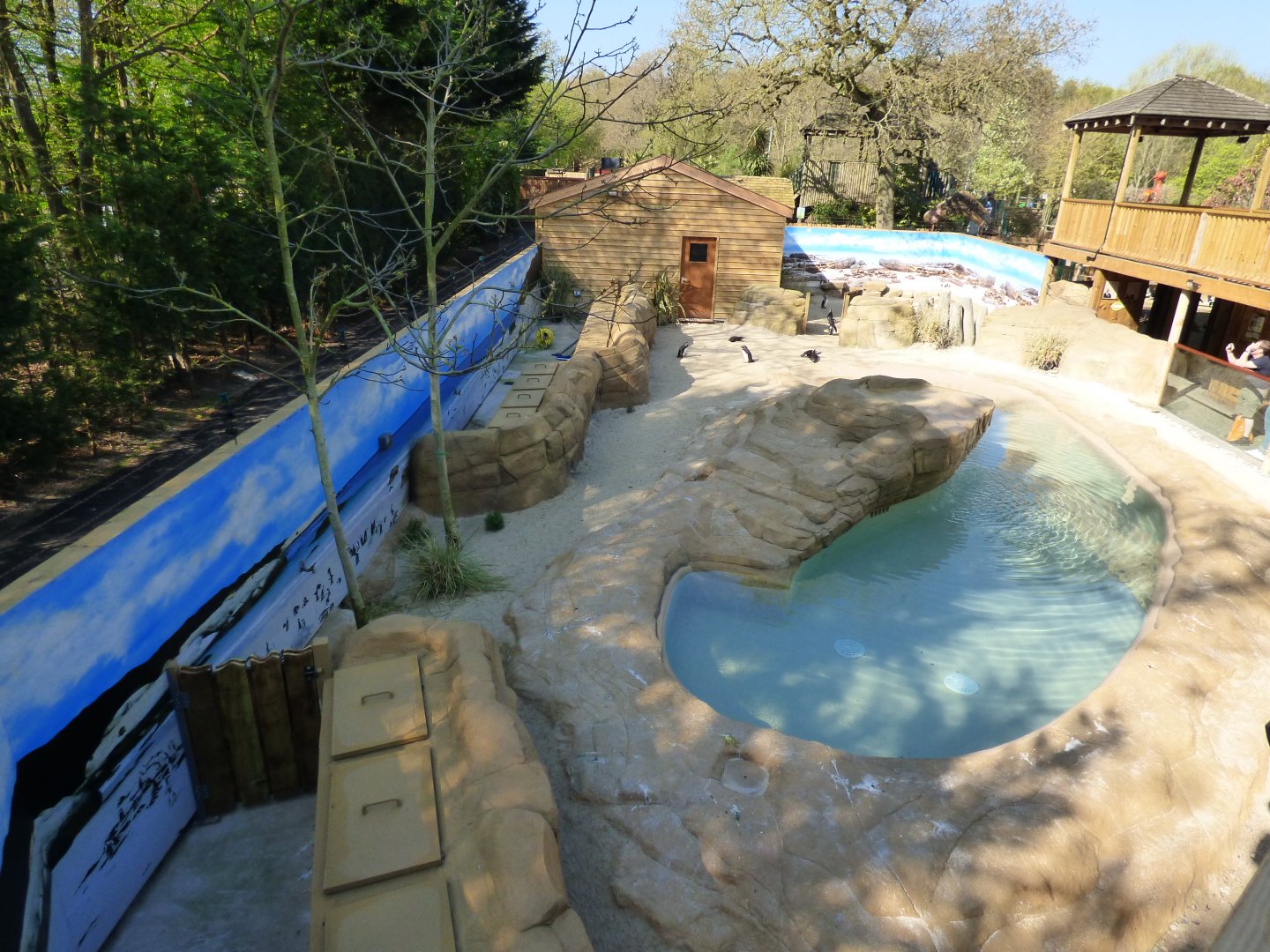 View of 'Penguin Falls' (Jackass Penguin)