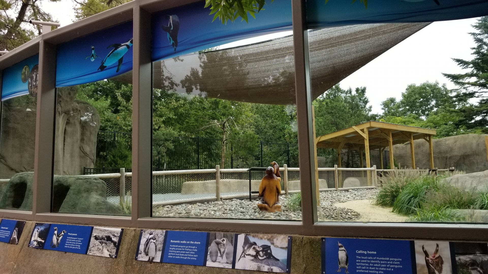 View of Penguin Point upper viewing platform