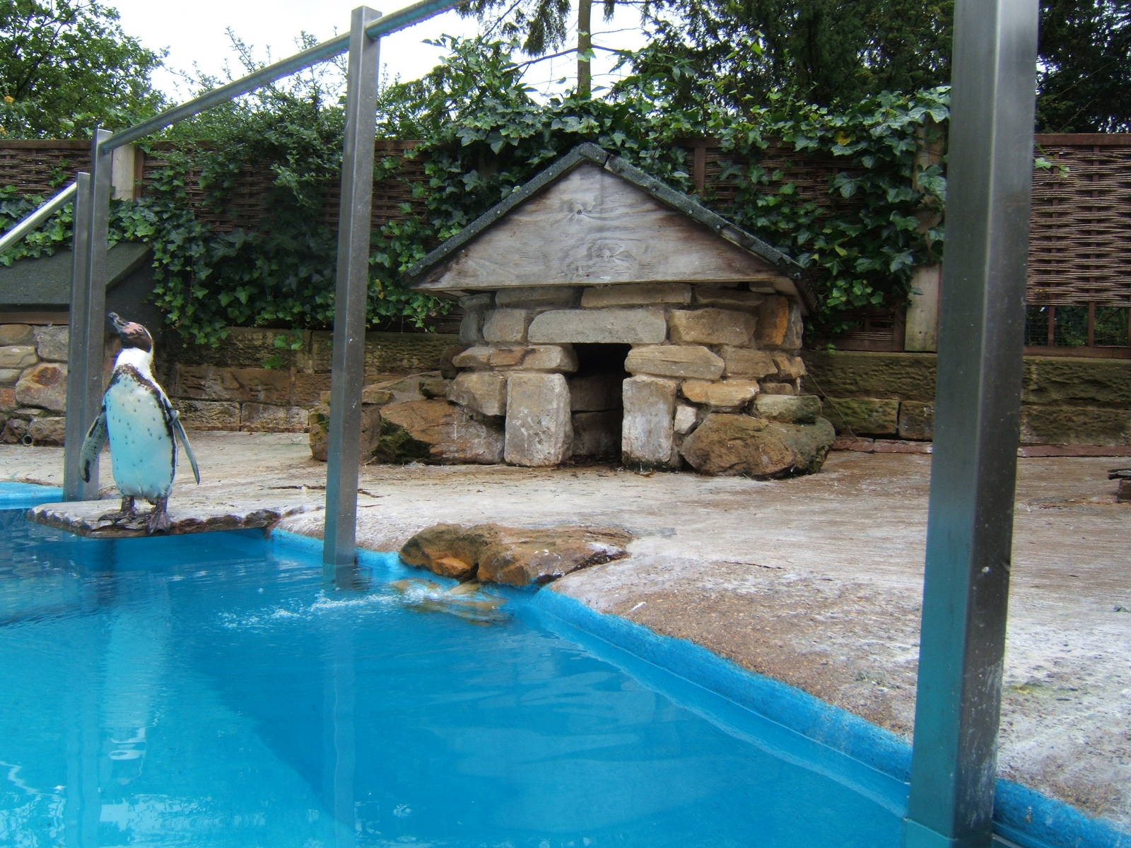 View of Penguin Pool and Safety Barrier to stop the staff from falling in.