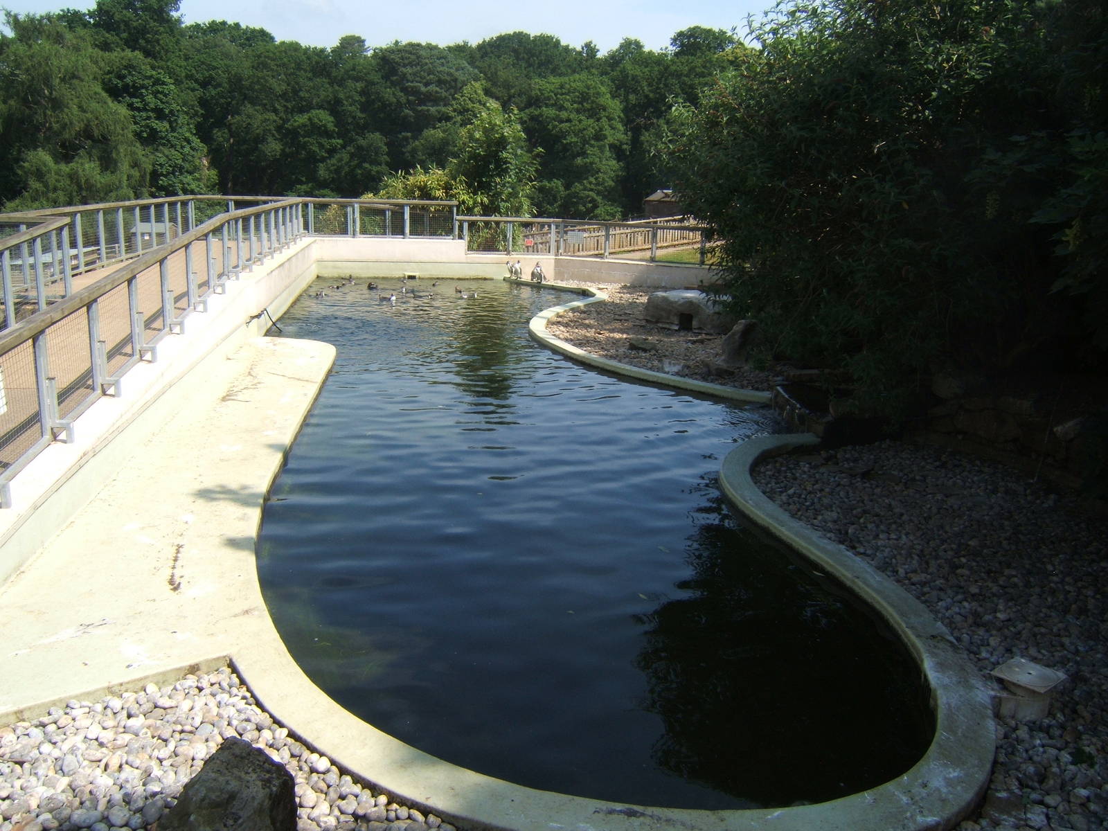 View of Penguin pool