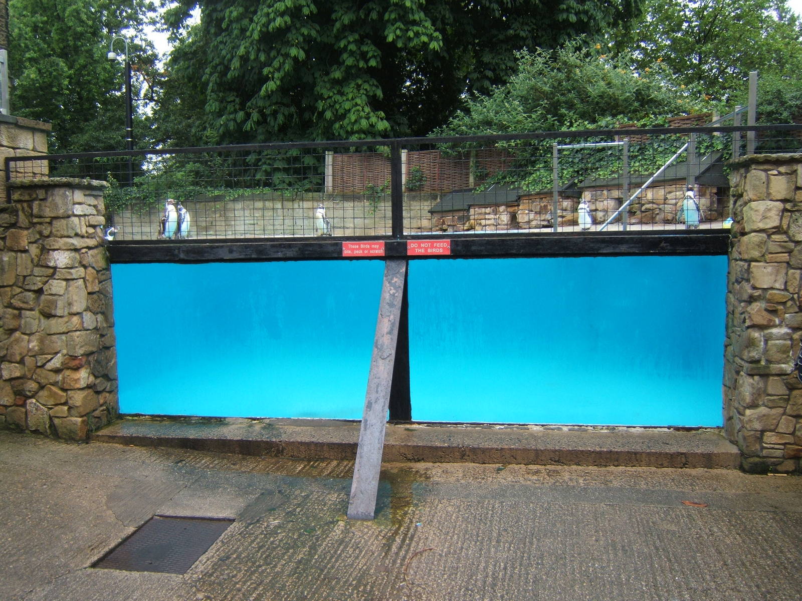 View of Penguin Pool