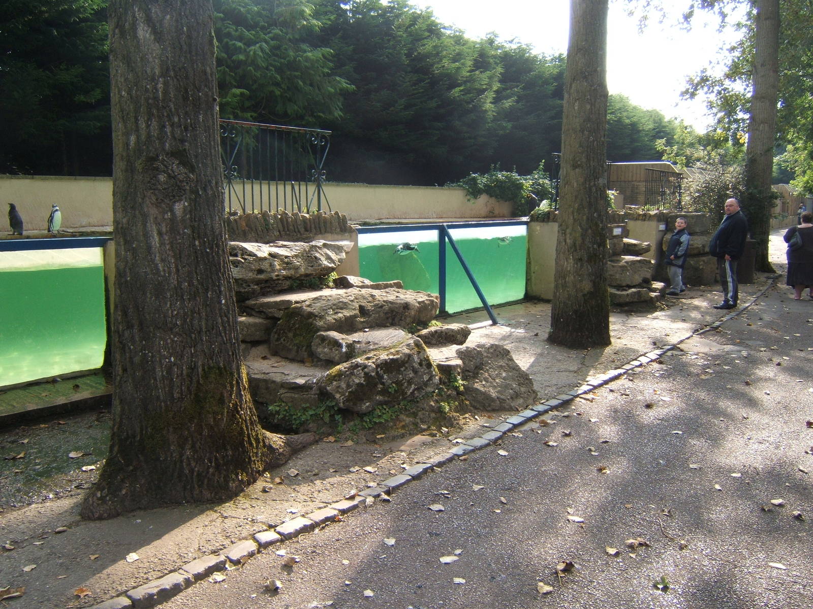 View of Penguin pool