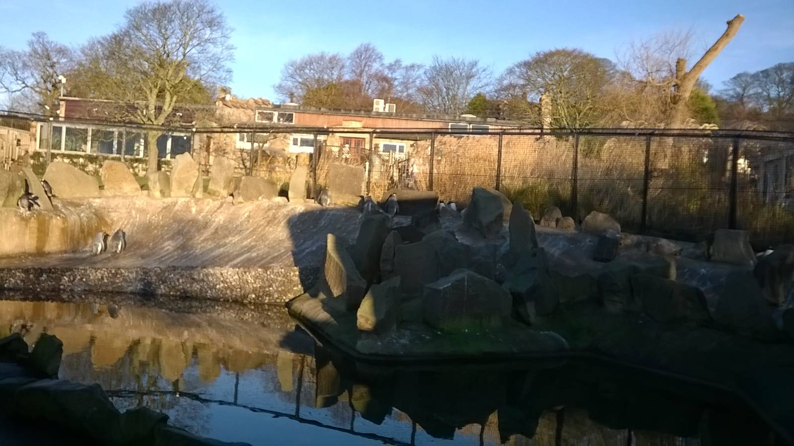 View of Penguin Rock