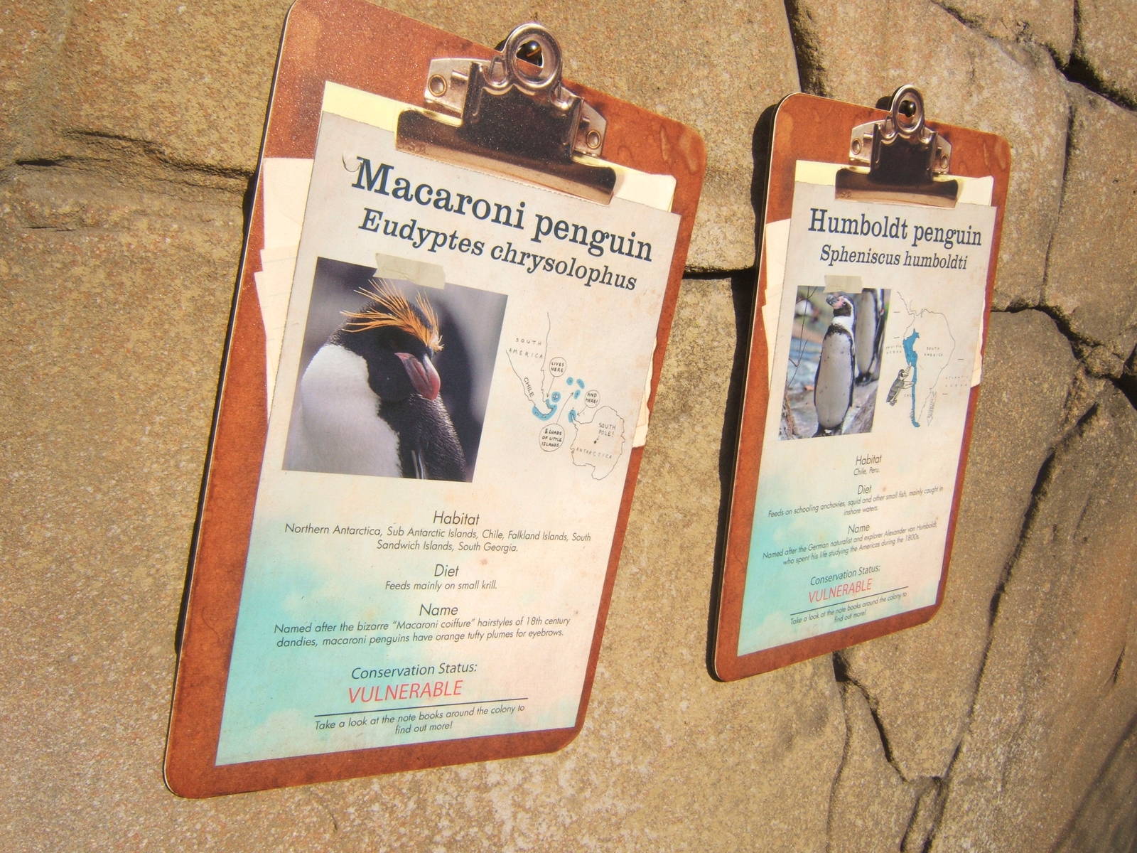 View of Penguin Signage