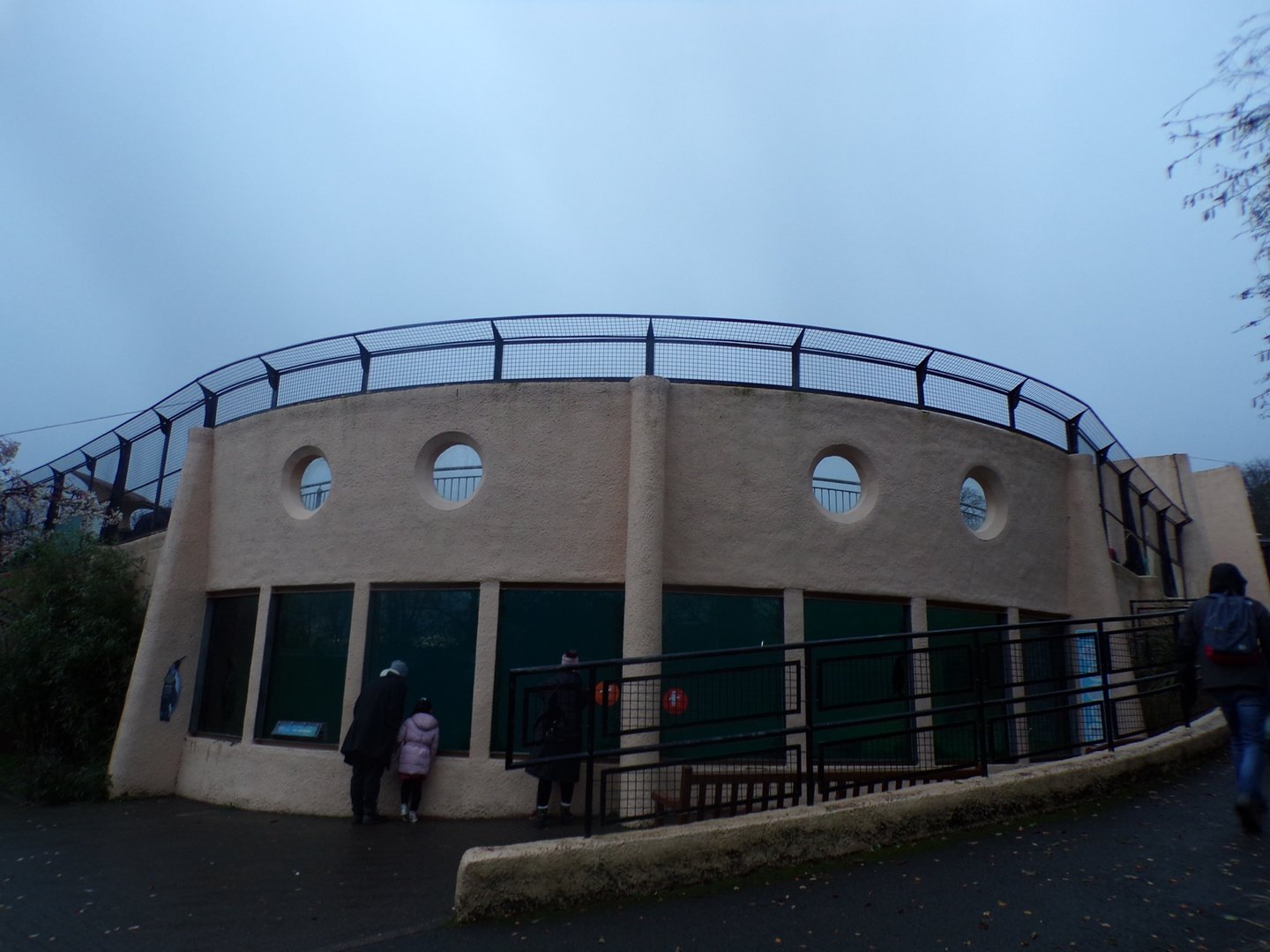 View of penguin underwater viewing area
