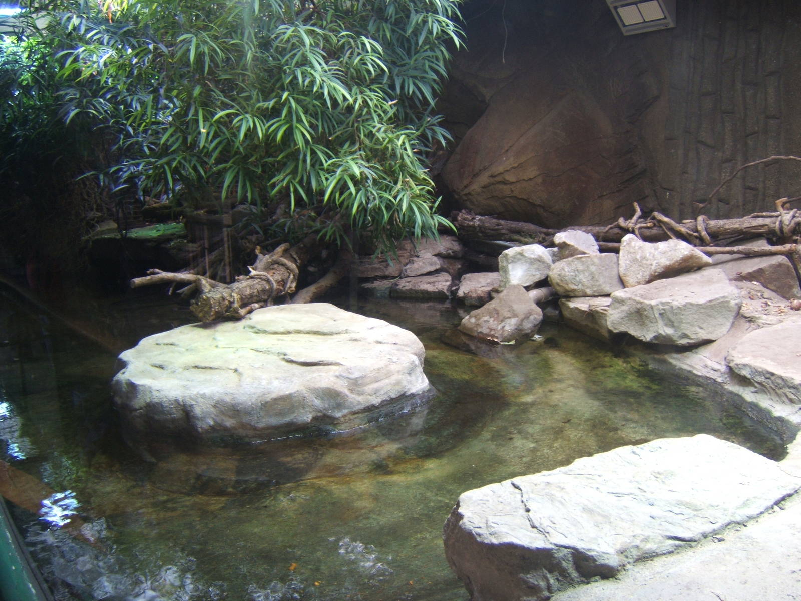 View of Philippine Crocodile exhibit