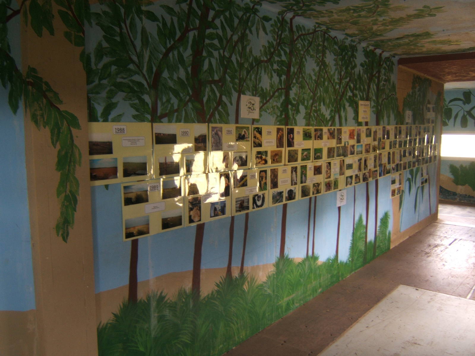 View of photo history display celebrating the zoo 25 years