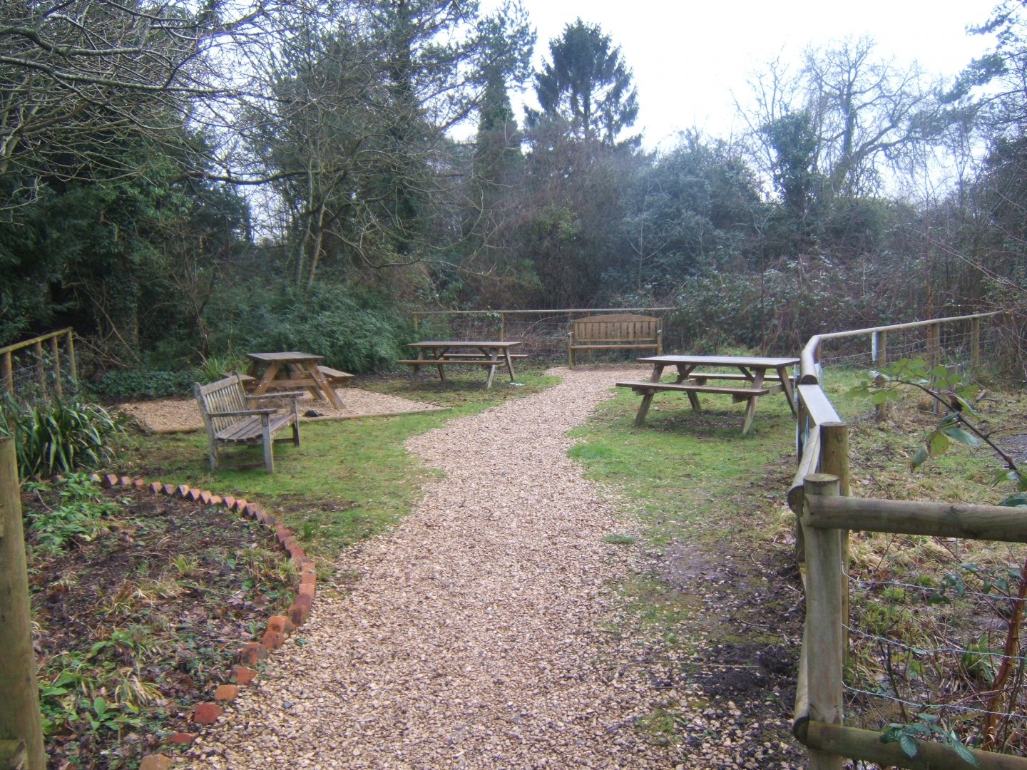 View of picnic area 03/02/2018