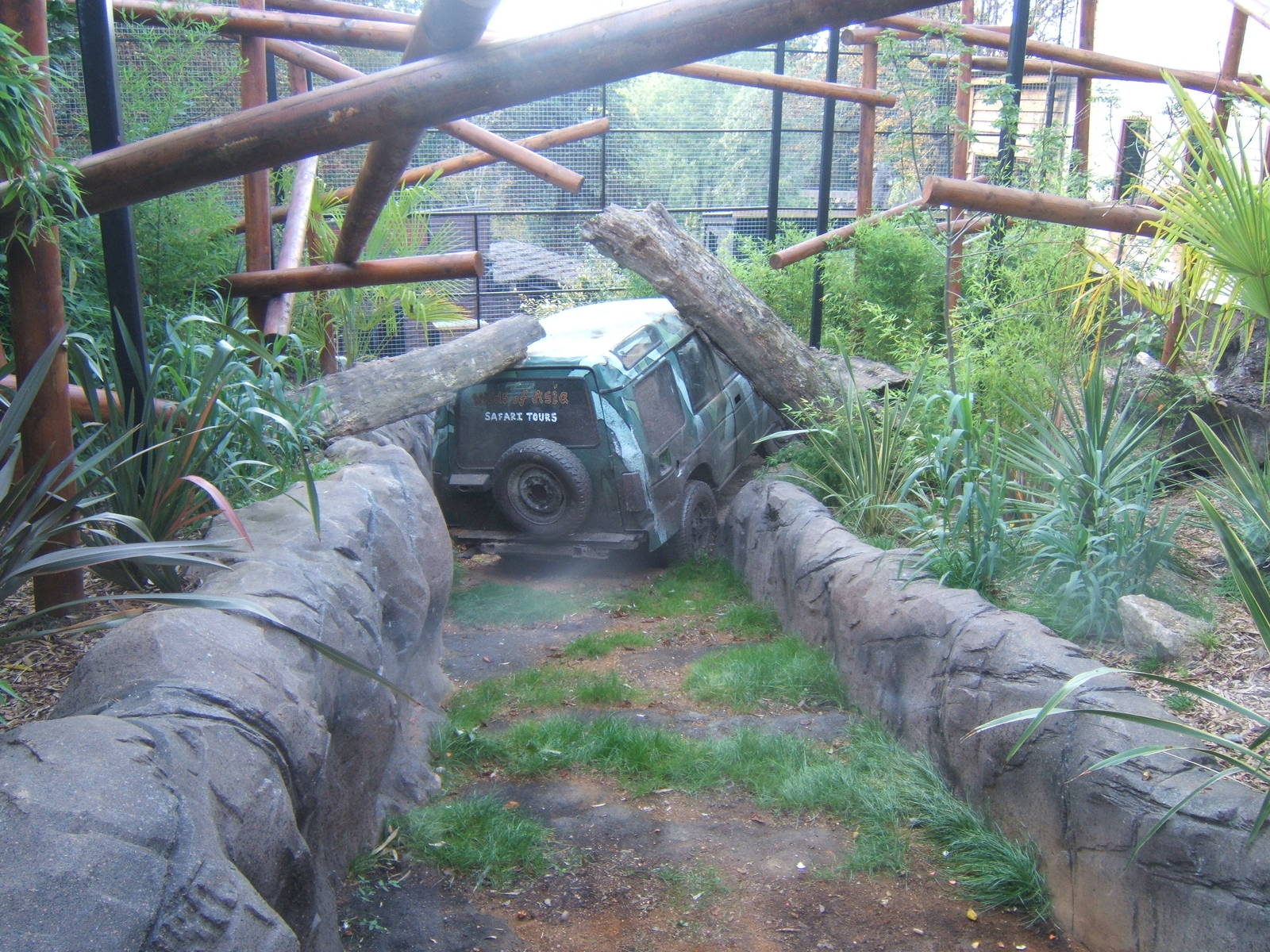 View of Pileated Gibbon enclosure