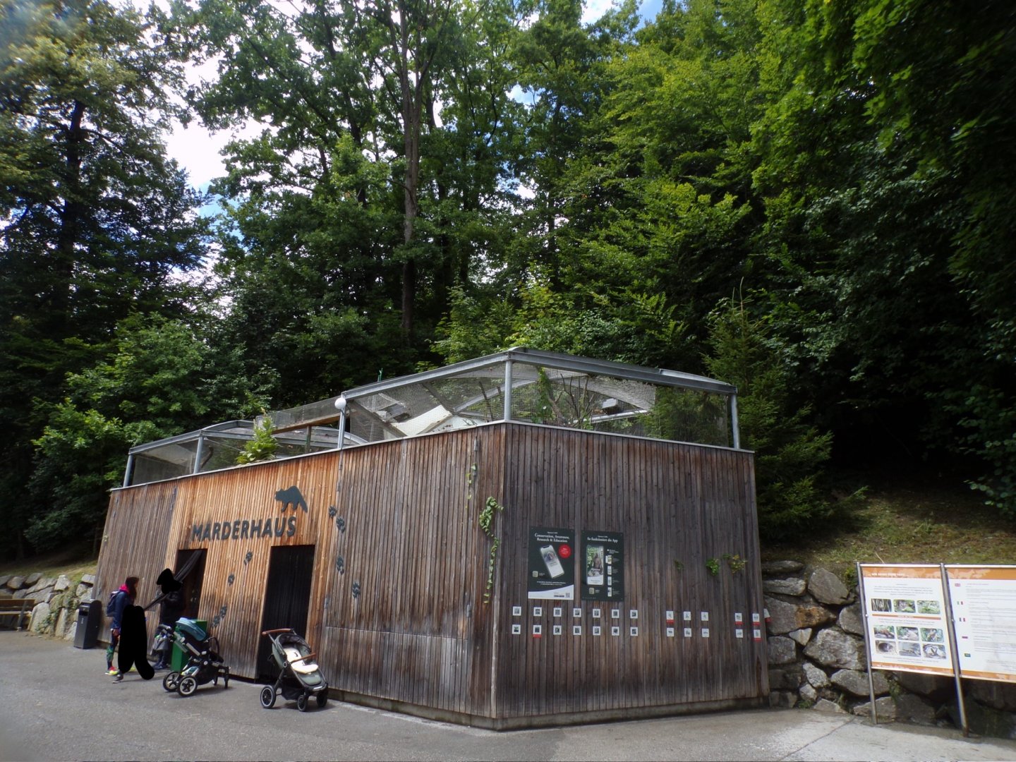 View of pine marten enclosure 9.7.25