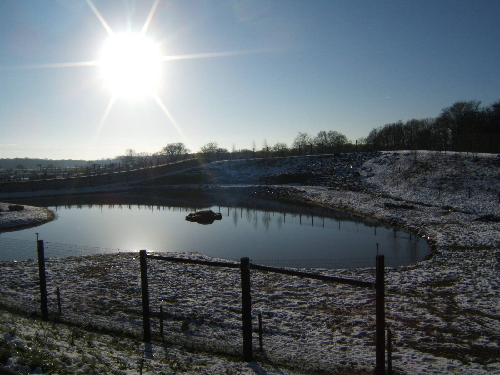 View of Polar Bear enclosure
