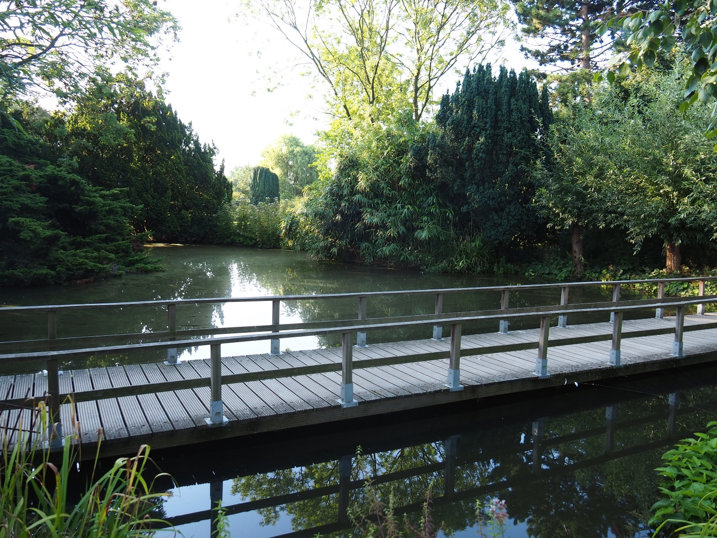 View of pond and bridge in the park (Sep 2nd, 2018)