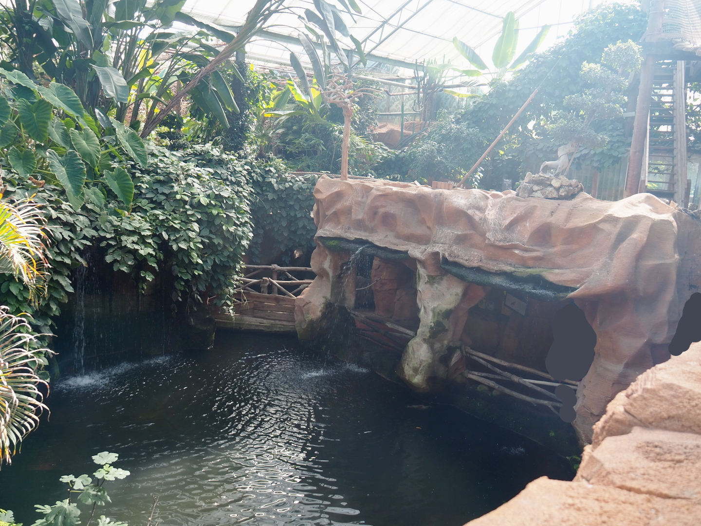 View of pond and lower area in the Oasis, 2021-09-03