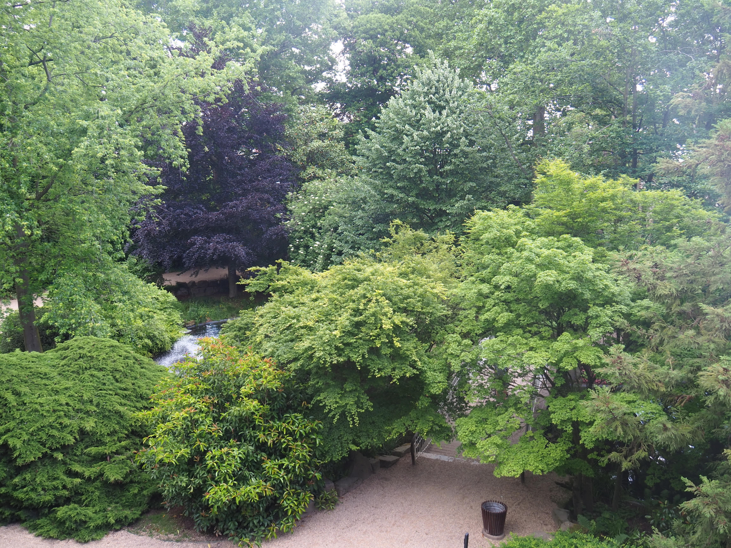 View of pond area from hippo house upper level viewing area, 2022-05-26